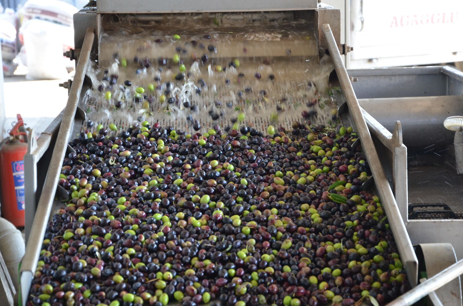 Nikon D7000 sample photo. Olive washing machine, olive photography