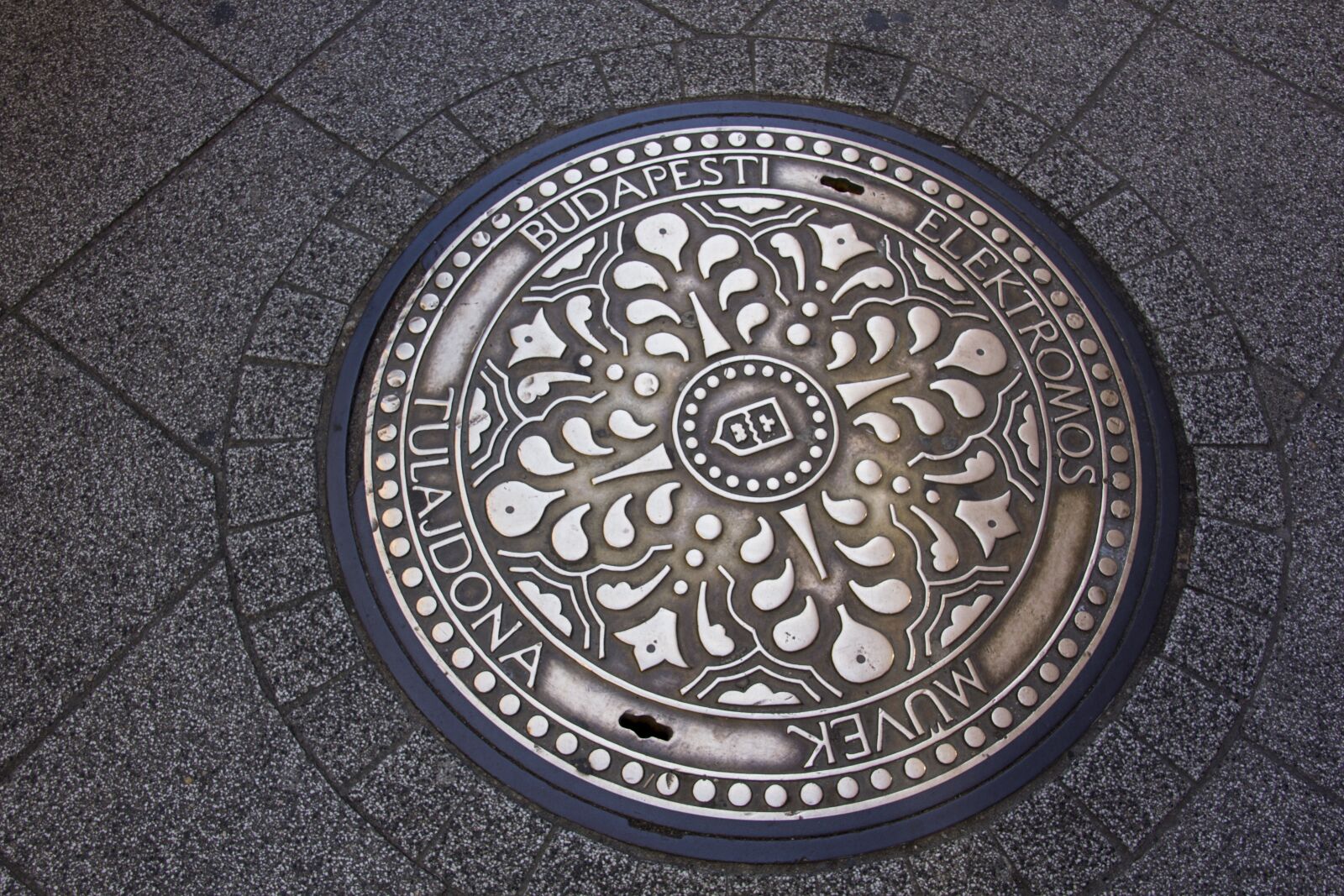 Canon EOS 60D sample photo. Hungary, road lid, bronze photography