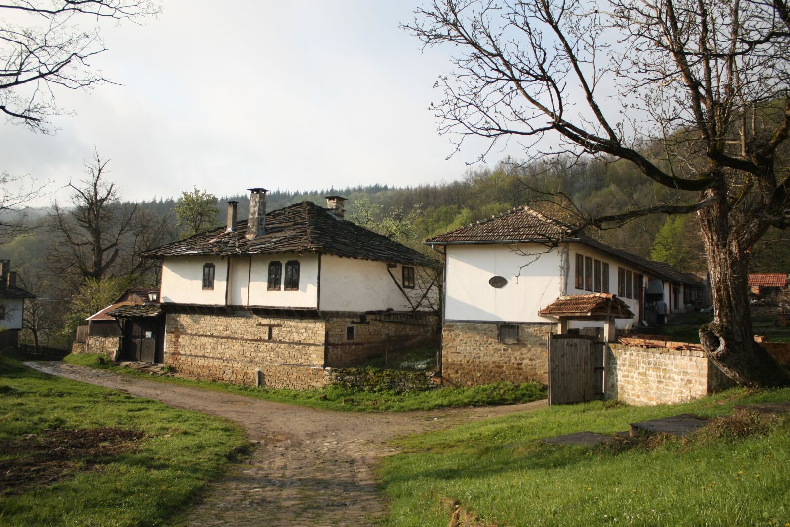 Canon EOS 450D (EOS Rebel XSi / EOS Kiss X2) sample photo. Bozhentsi, bulgaria, architectural photography