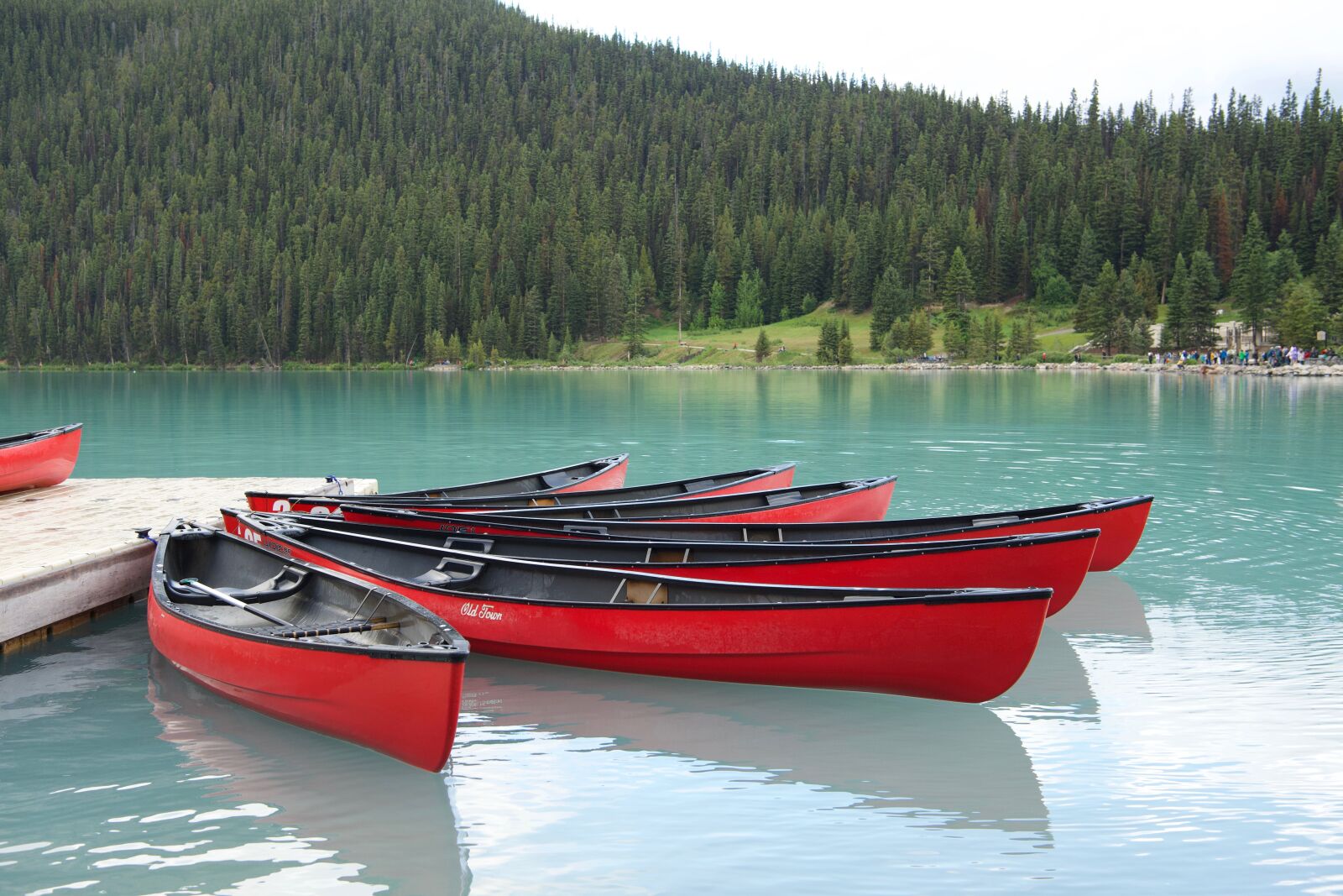 Nikon D5 sample photo. Colorful boats, lake louise photography