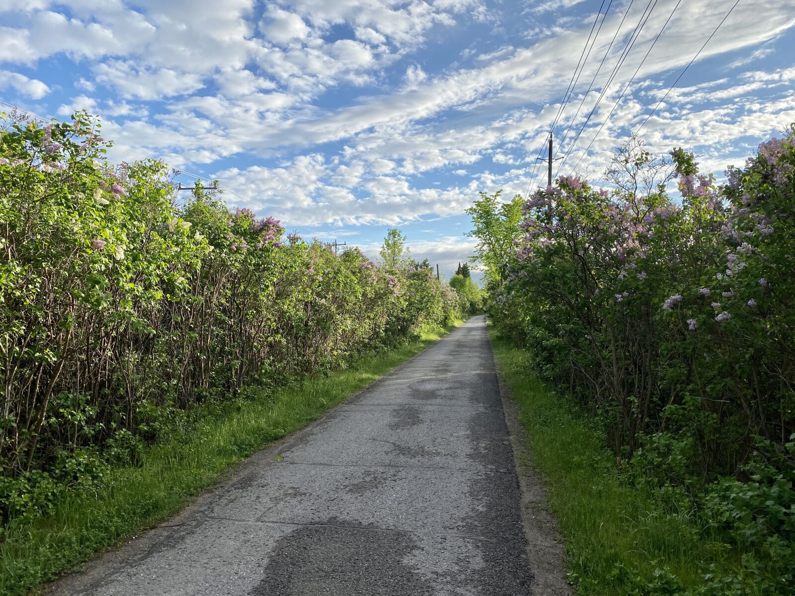Apple iPhone 11 Pro sample photo. Trail, sky, nature photography