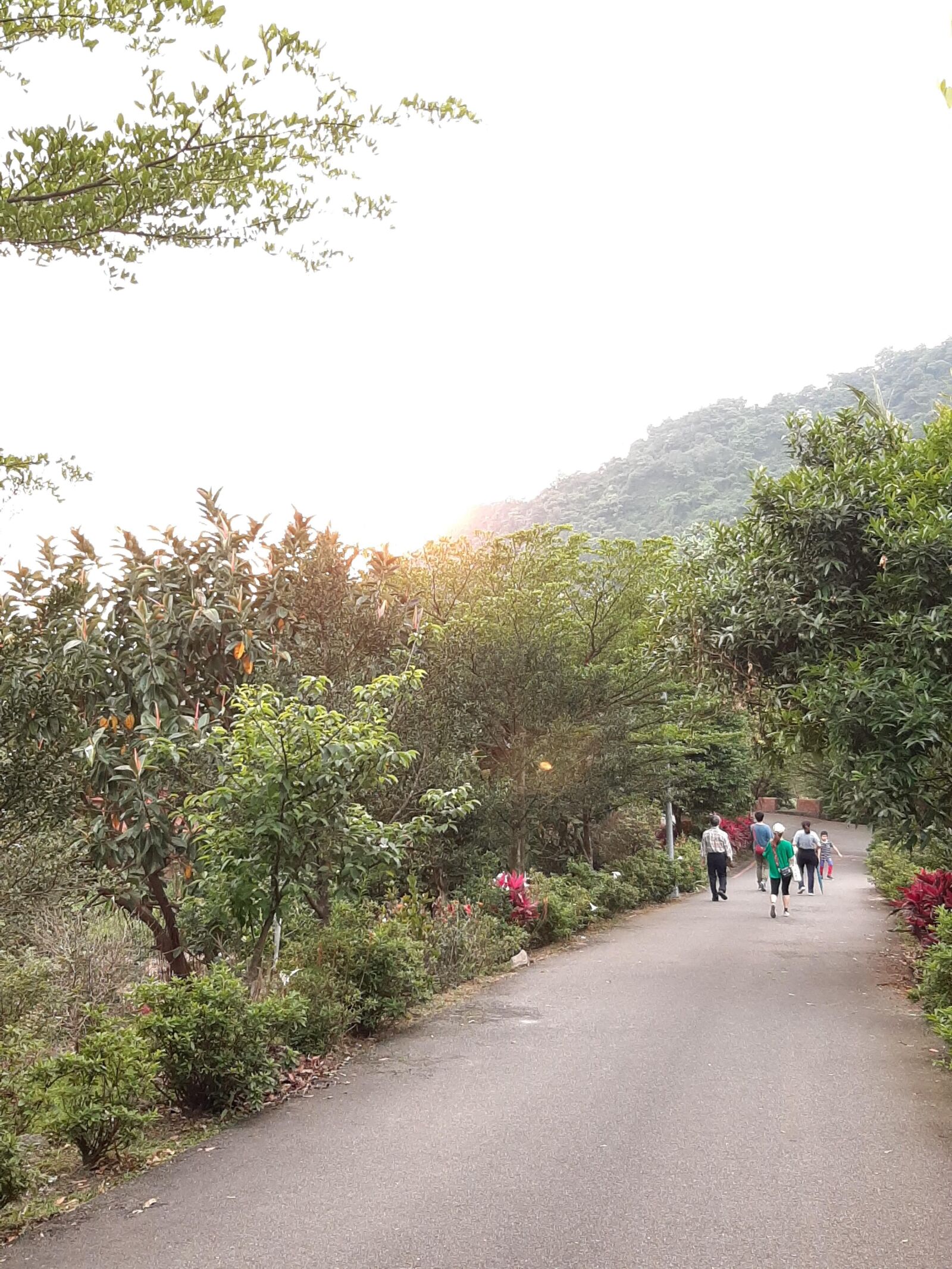 Samsung Galaxy A50 sample photo. Valley, mountain, green photography