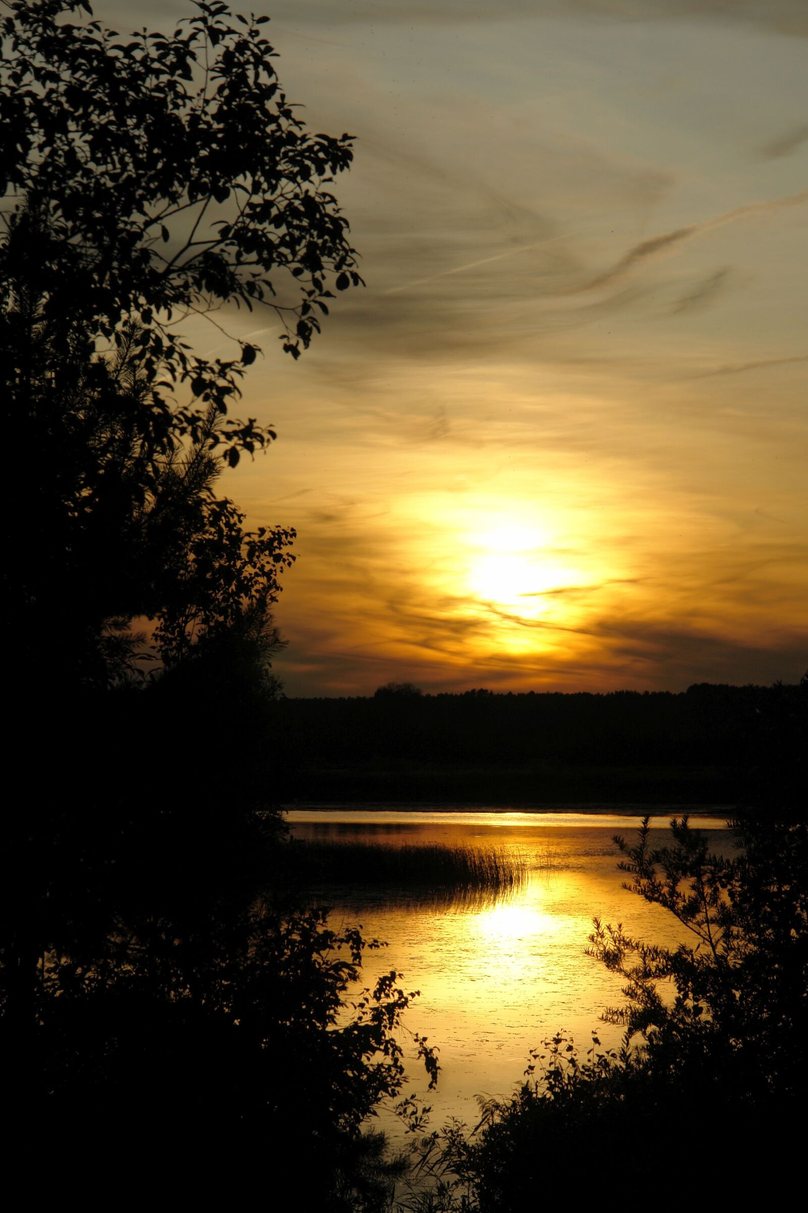 Sony DSC-R1 sample photo. Sun, sunset, autumn photography