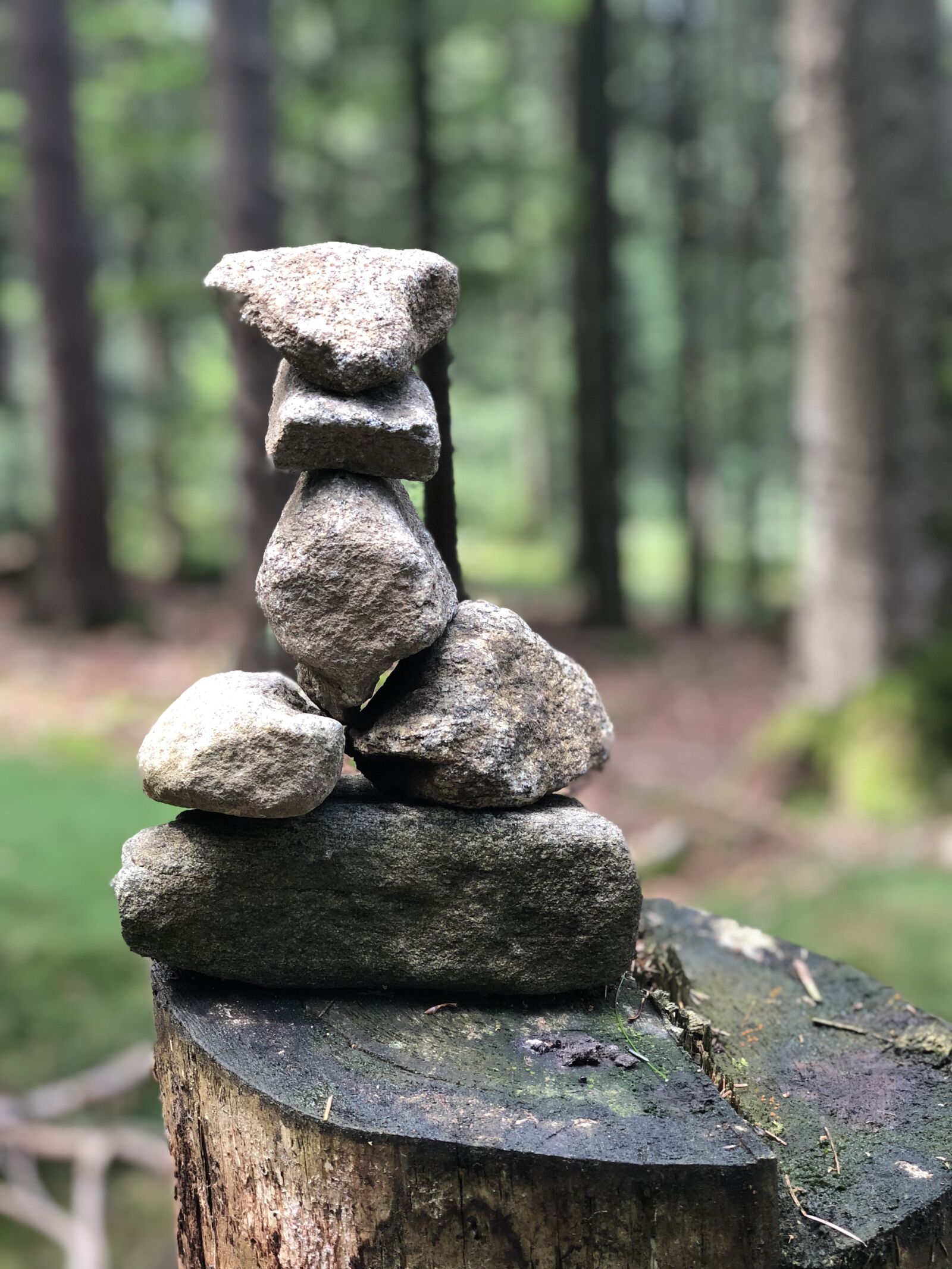 iPhone X back dual camera 6mm f/2.4 sample photo. Forest, stones, nature photography