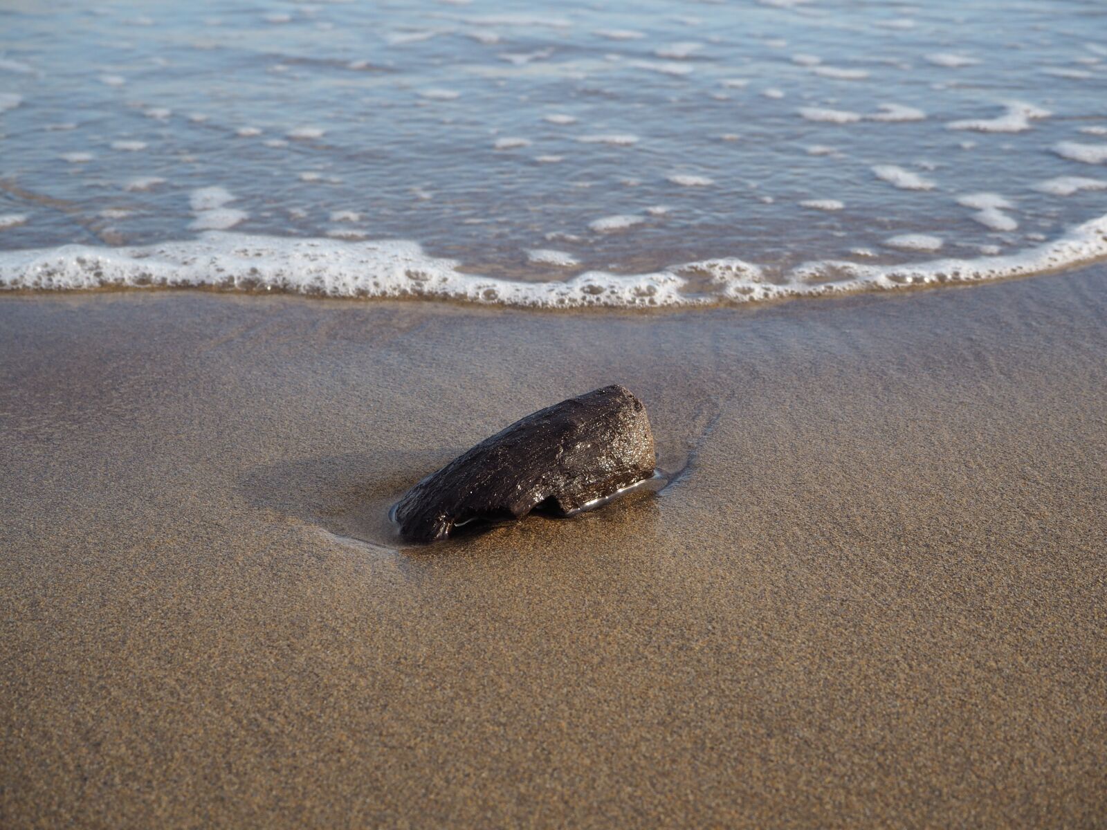Olympus OM-D E-M10 sample photo. Sea, italy, drift wood photography