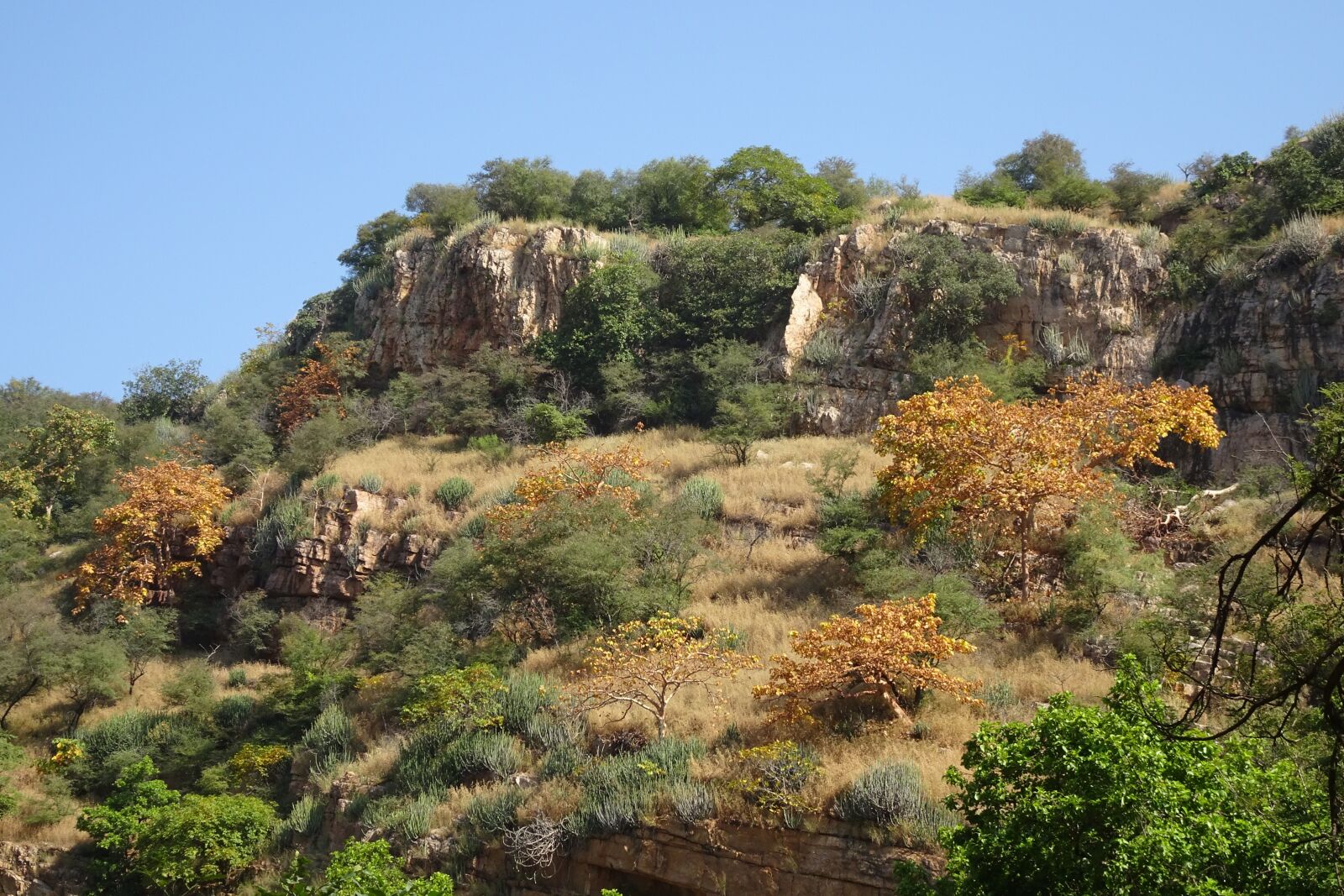 Sony Cyber-shot DSC-HX90V sample photo. Mountain, aravalli range, rock photography