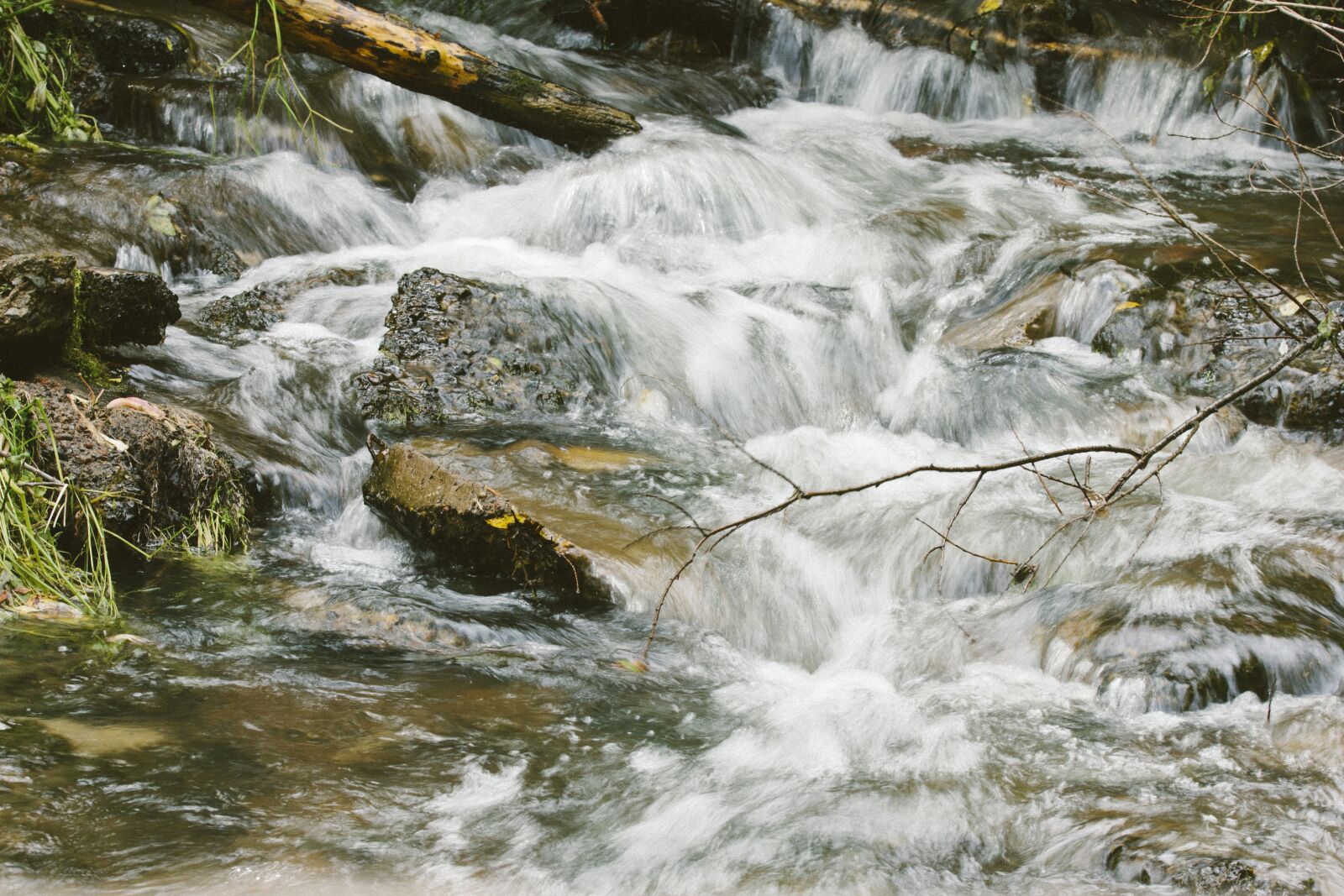 Canon EF 70-300mm F4-5.6 IS USM sample photo. Creek, forest, nature photography