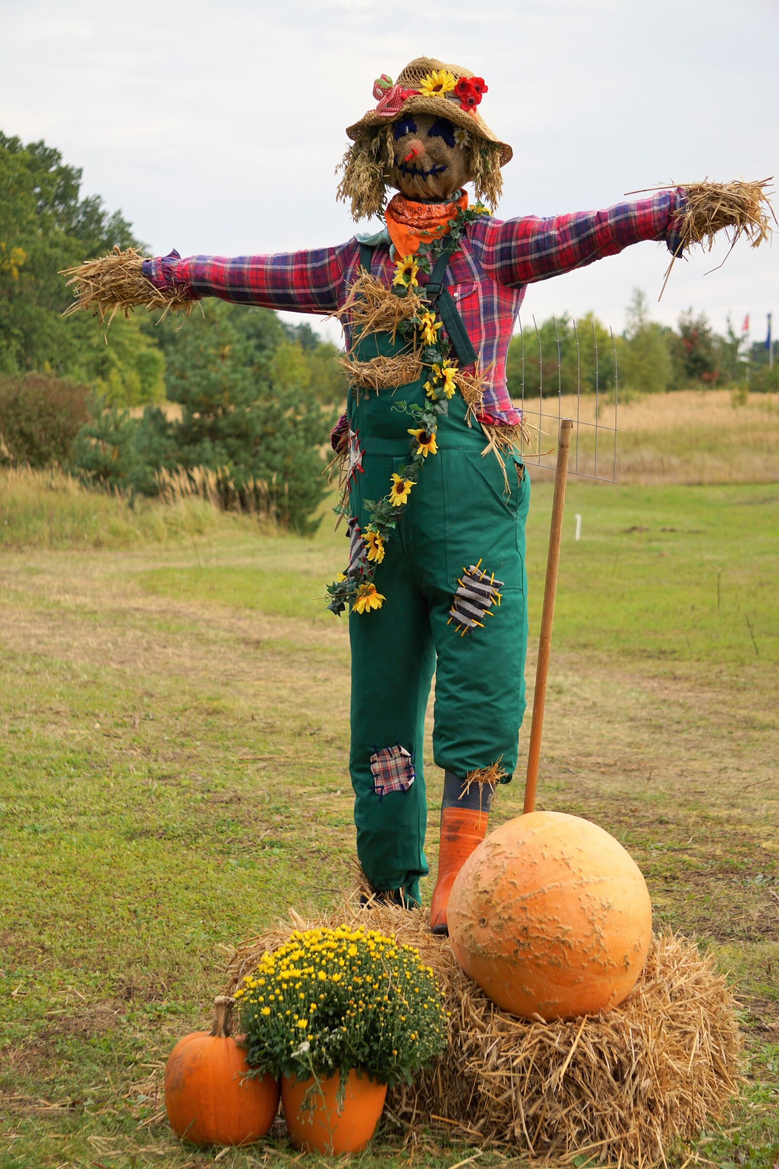 Sony a6000 sample photo. Pumpkin, orange, large photography