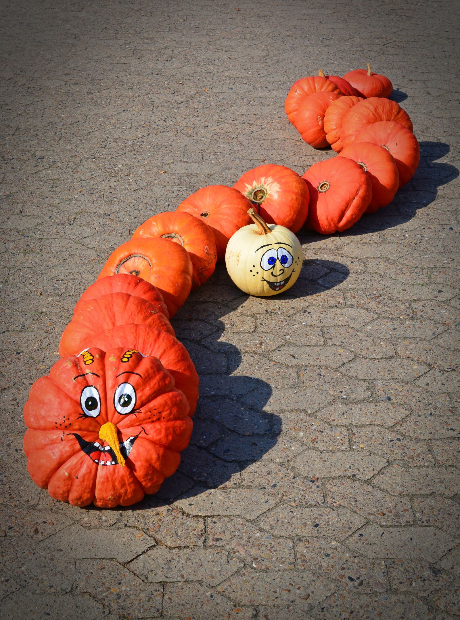 Nikon D5200 sample photo. Pumpkin, funny, painted photography