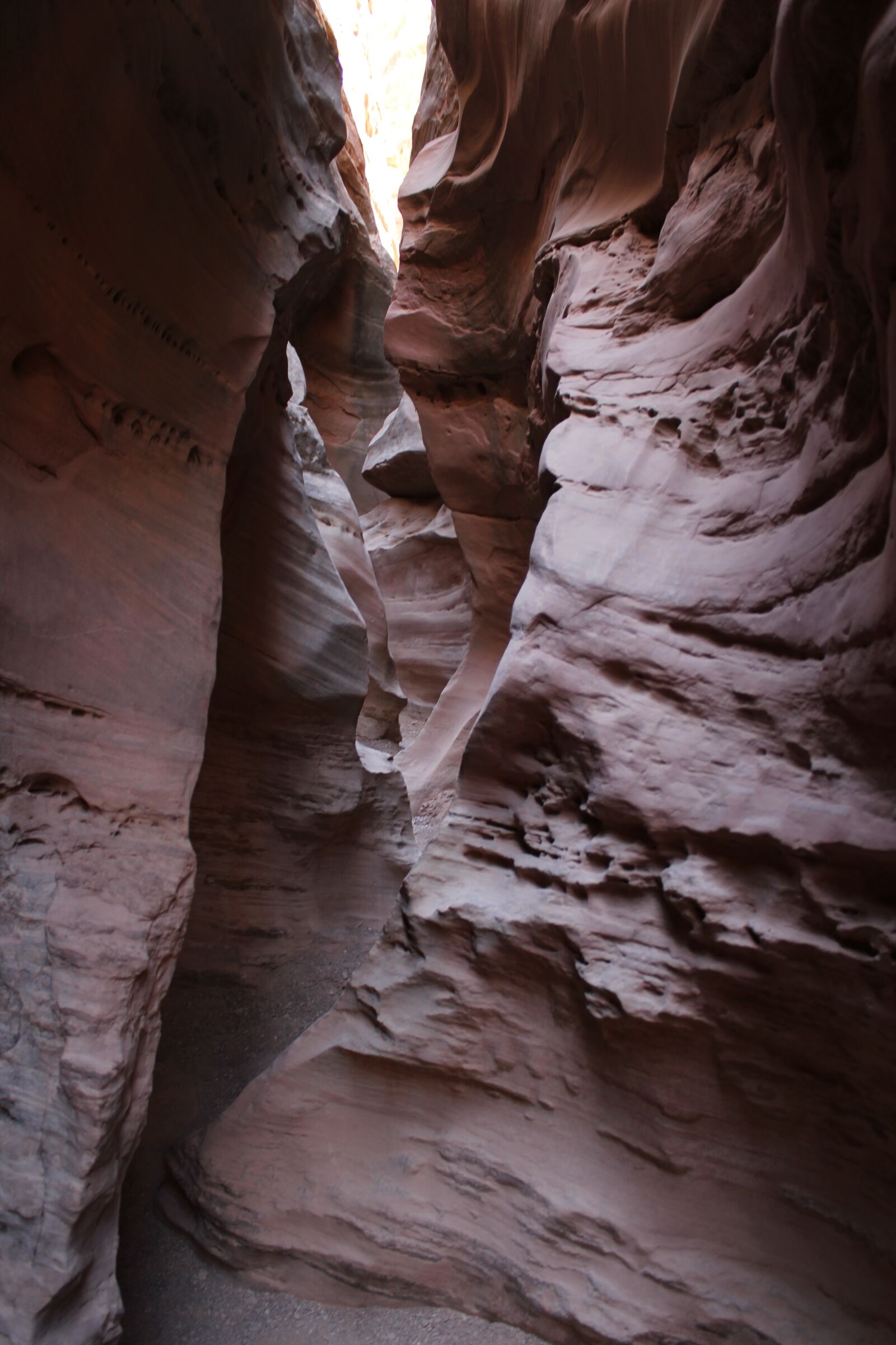 Canon EOS 550D (EOS Rebel T2i / EOS Kiss X4) sample photo. Horse canyon, utah, desert photography
