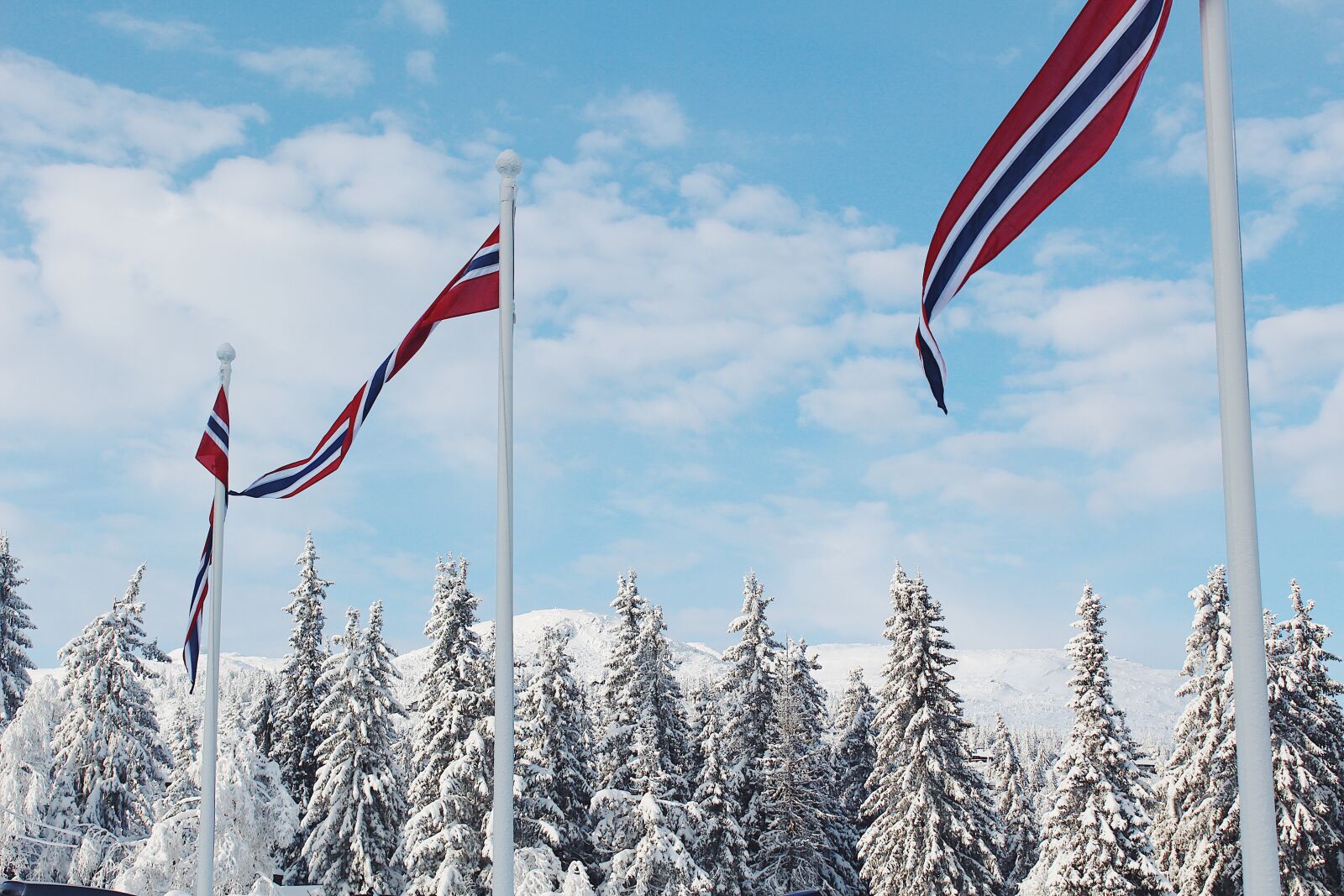 Canon EOS 100D (EOS Rebel SL1 / EOS Kiss X7) sample photo. Red, and, black, flags photography