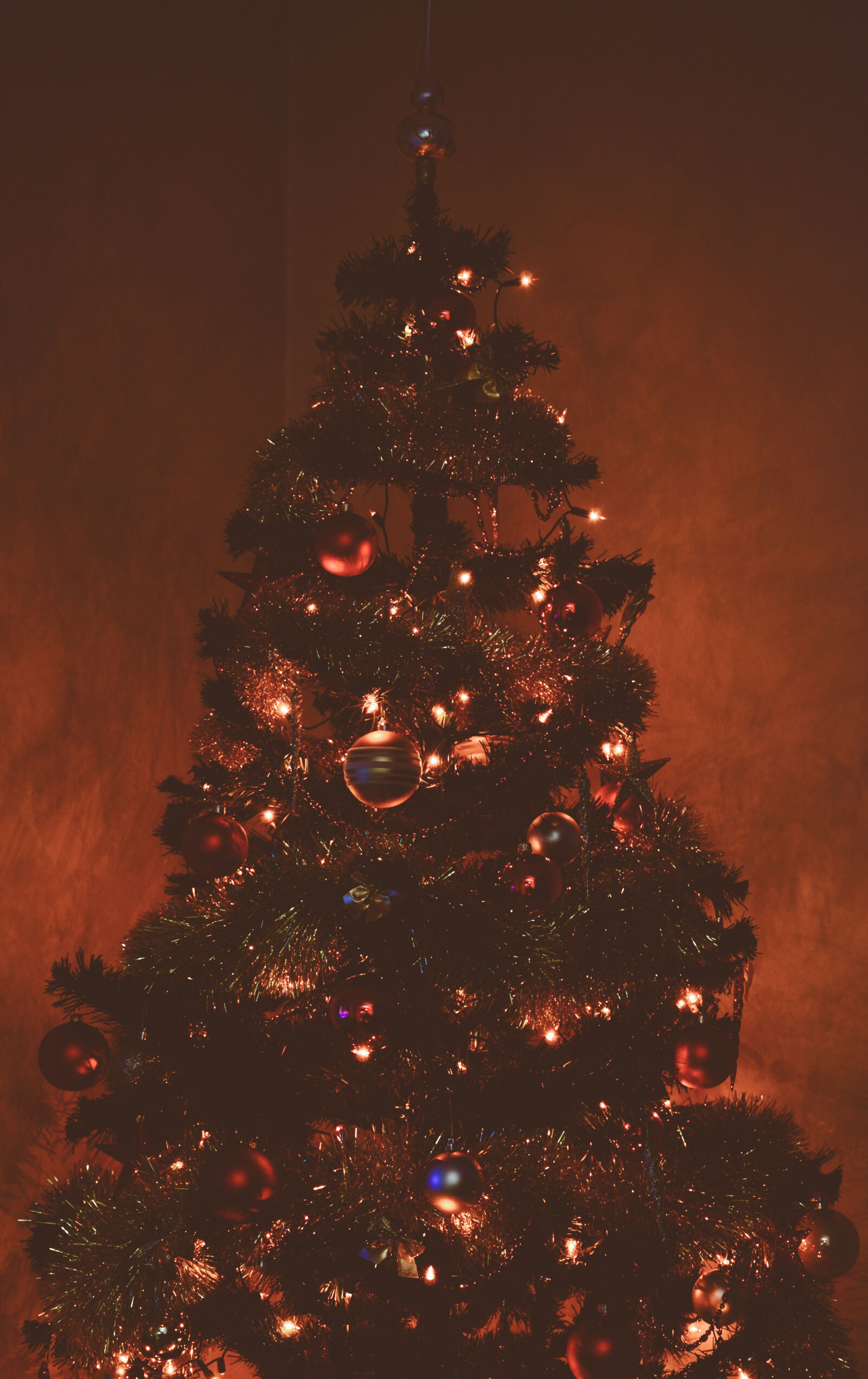 Nikon D3200 sample photo