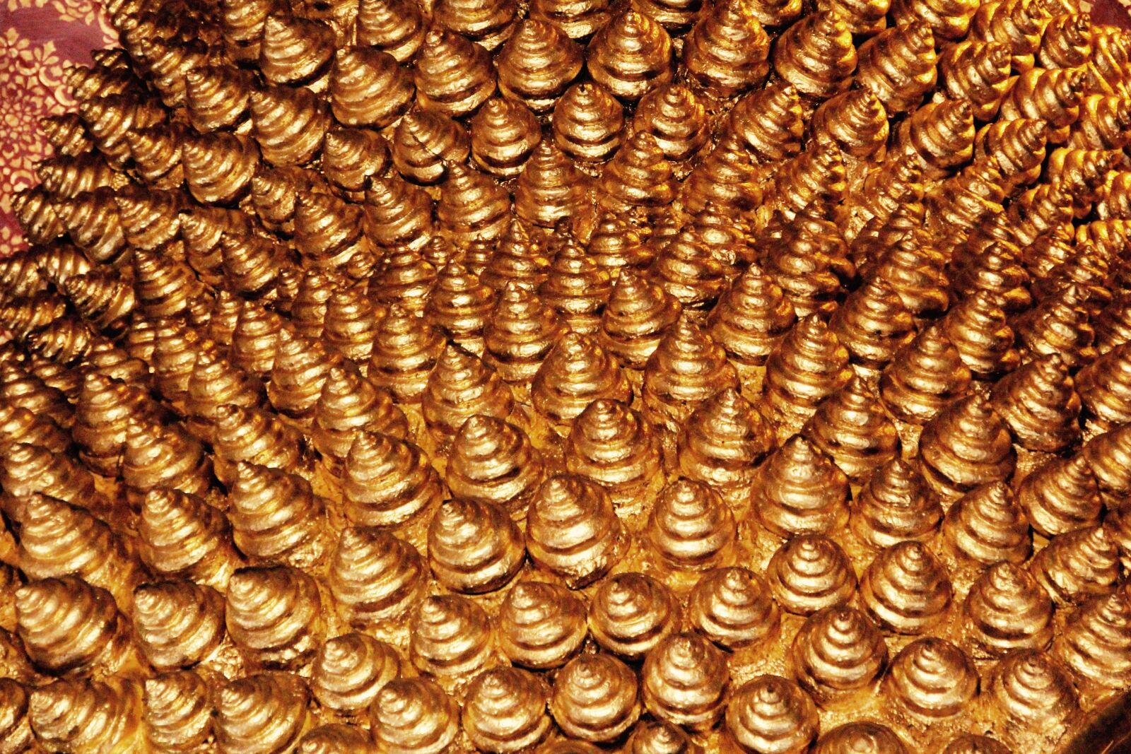 Canon EOS 60D sample photo. Gold, nap, head photography