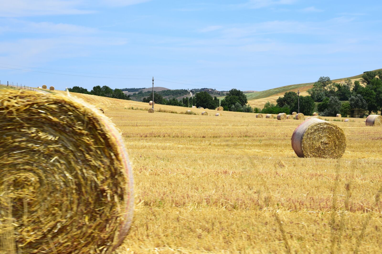 Nikon D3300 sample photo. Hay bales, tuscany, panorama photography