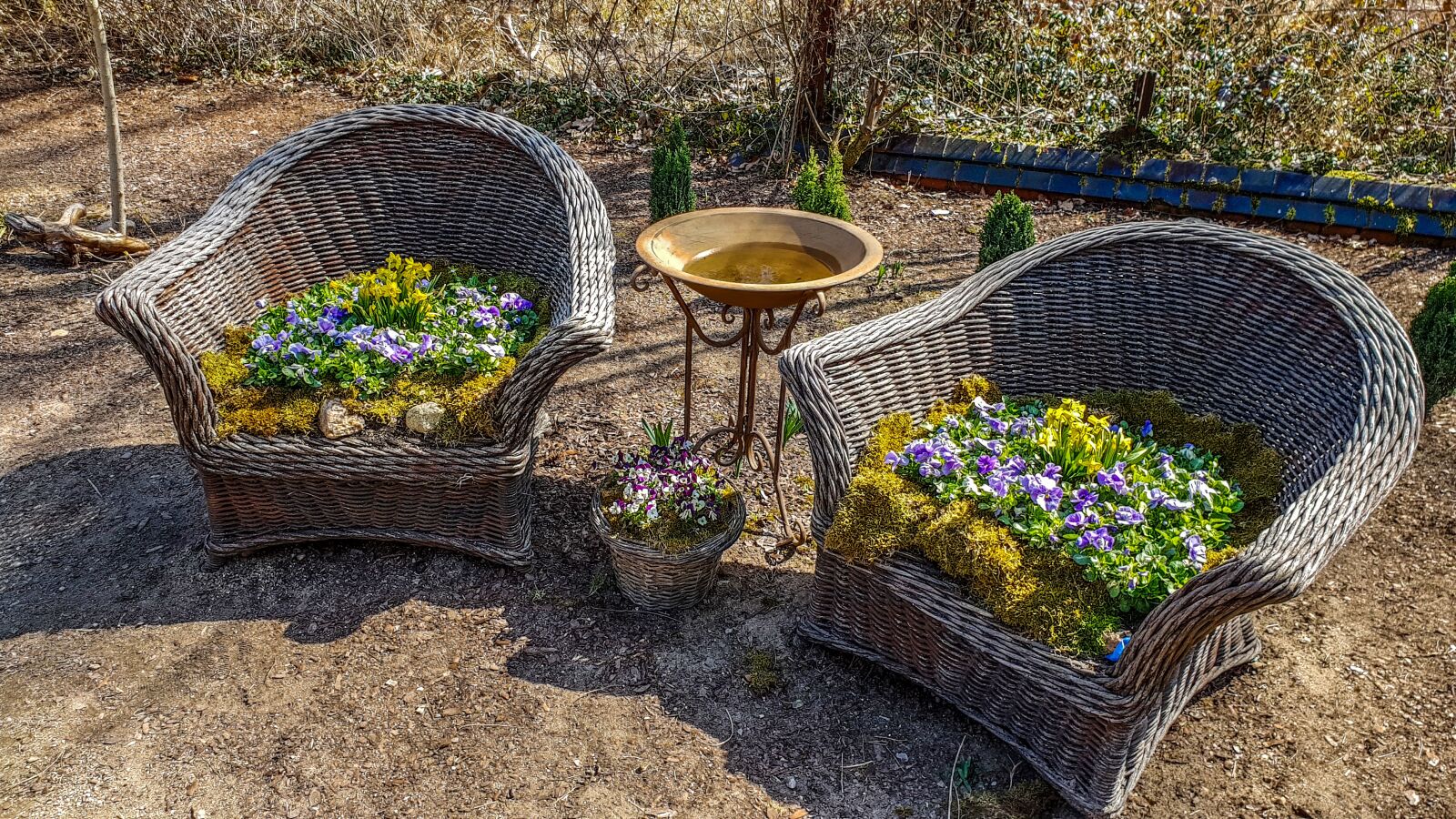 Samsung Galaxy S9 sample photo. Garden, plant, nature photography