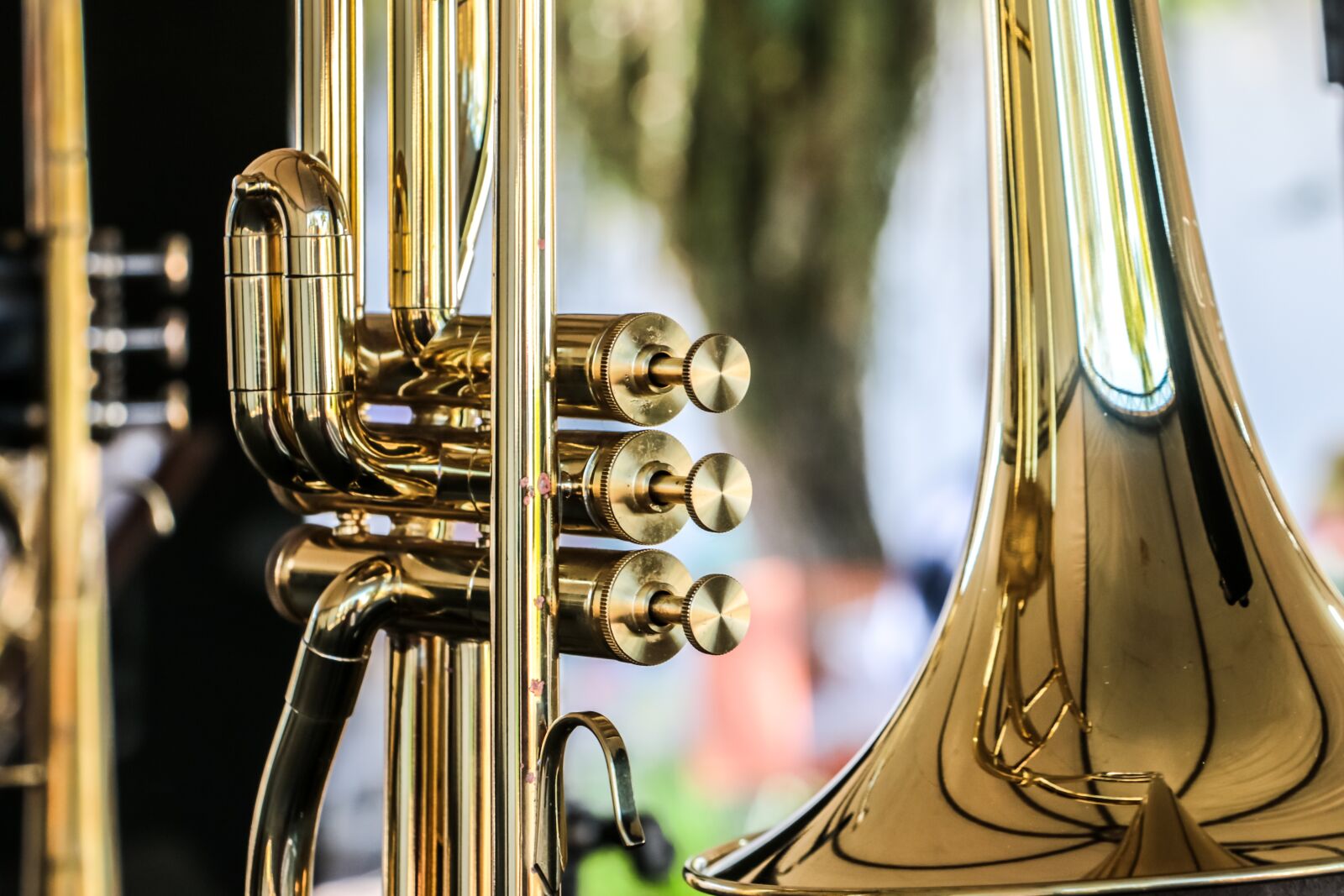 Canon EOS 70D sample photo. Golden, reflection, instrument photography
