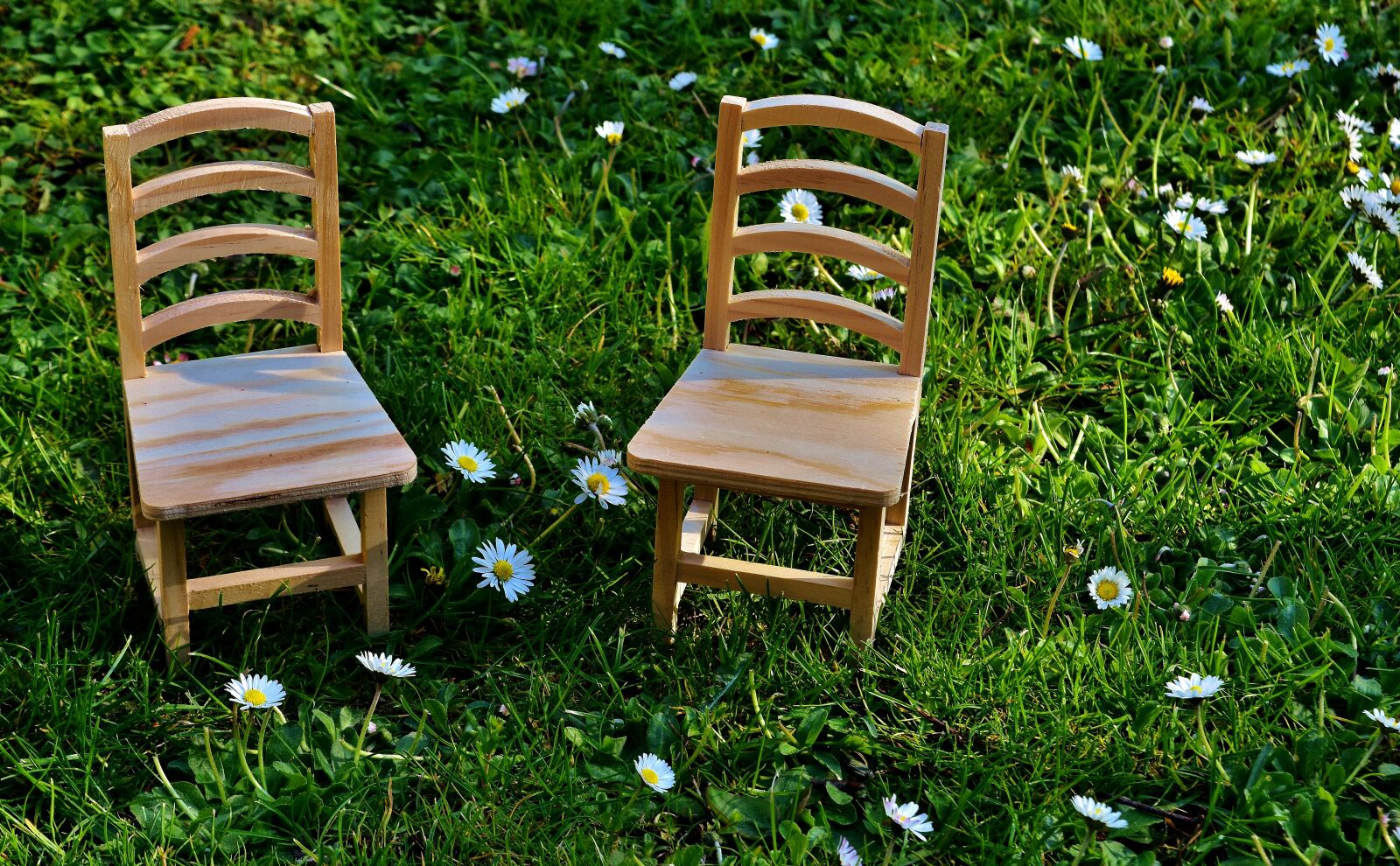 Nikon D7200 sample photo. Chairs, meadow, wood photography