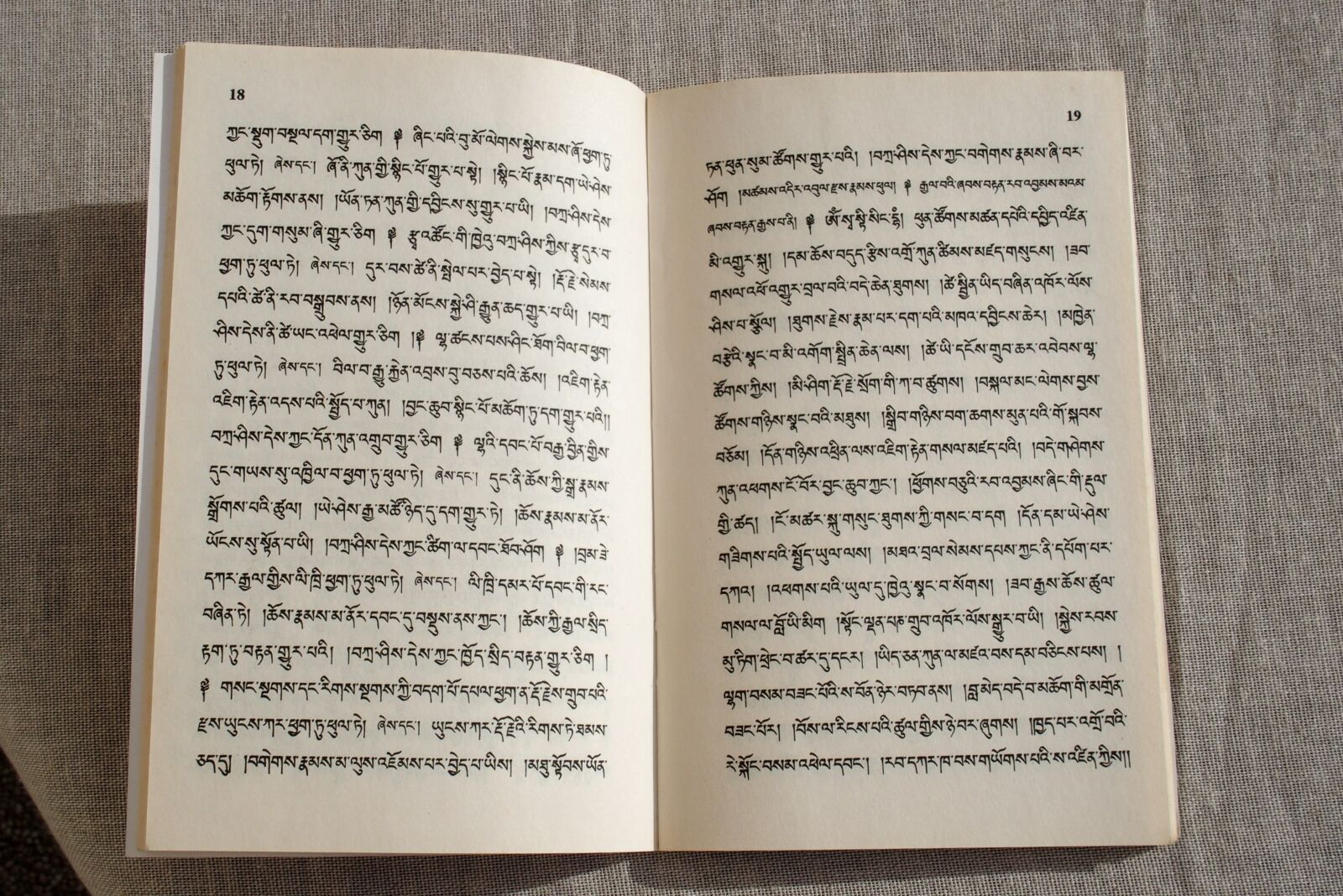 Olympus STYLUS1,1s sample photo. Book, tibetan, reading photography