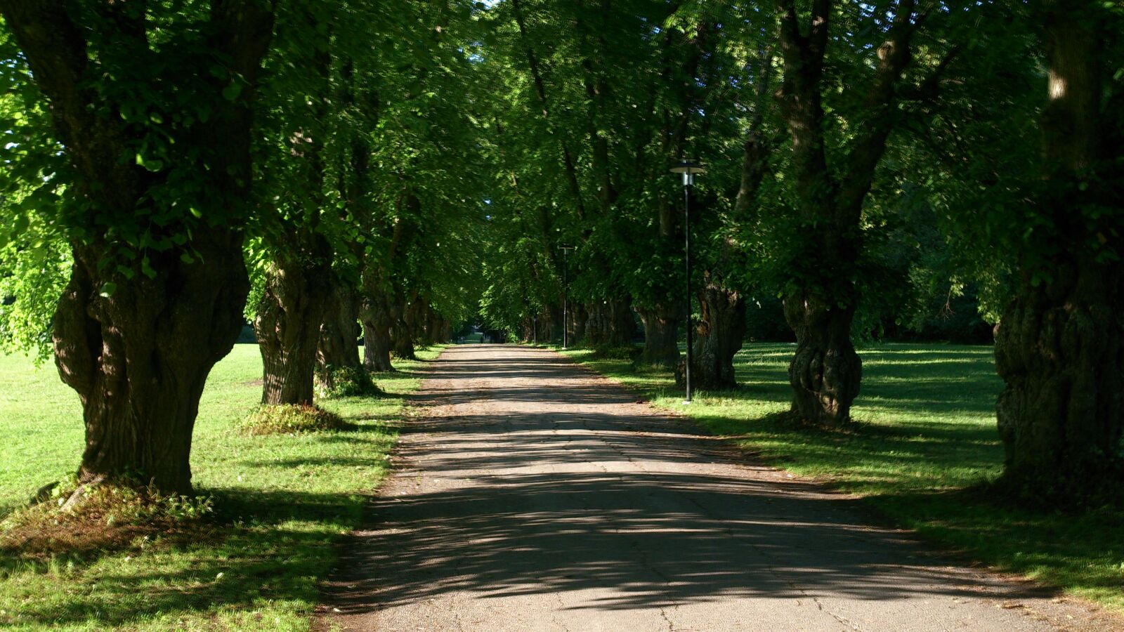 Sony Xperia V sample photo. Alley photography