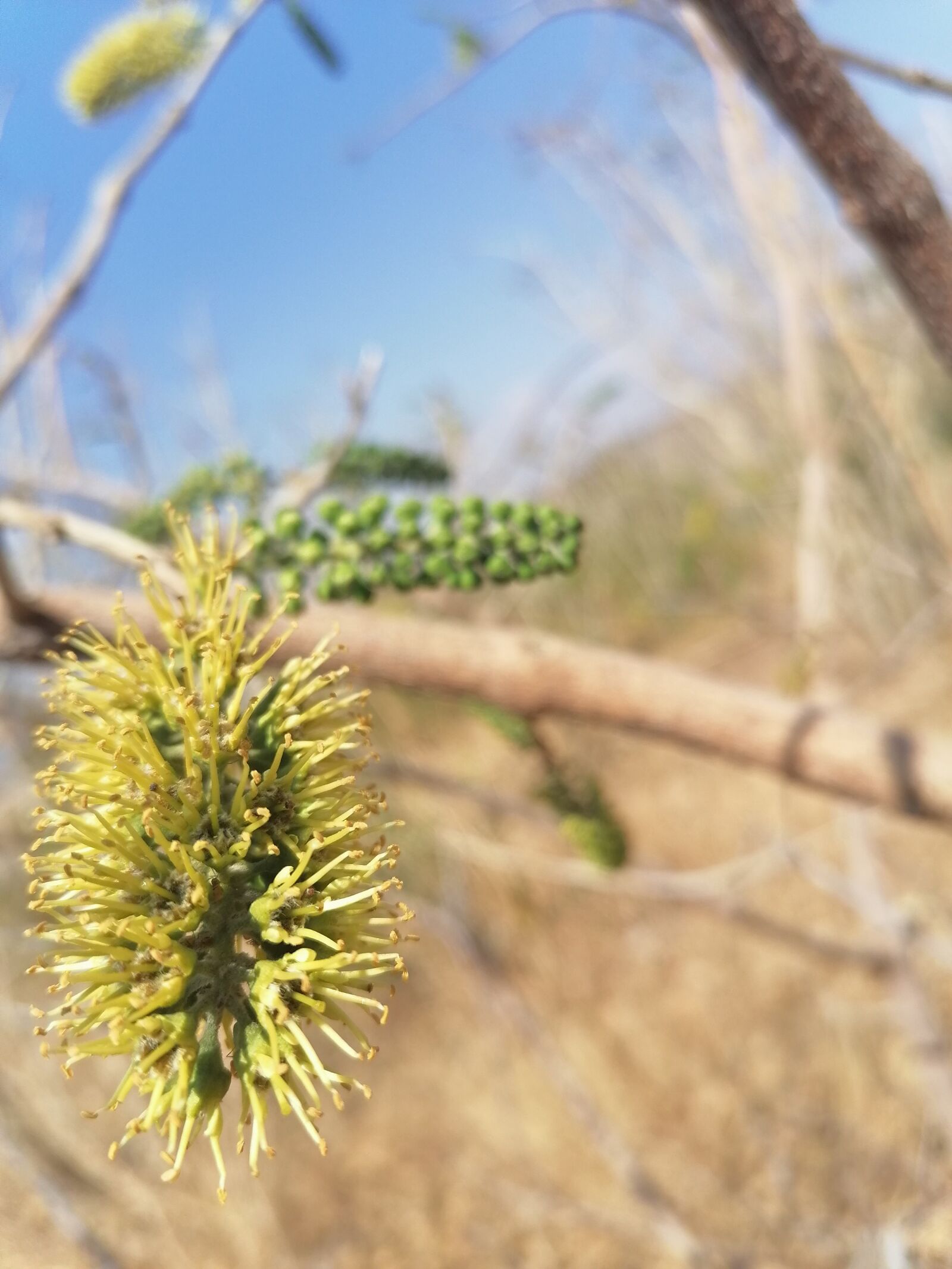 HUAWEI STK-L21 sample photo. Natural, blue skies, landscape photography