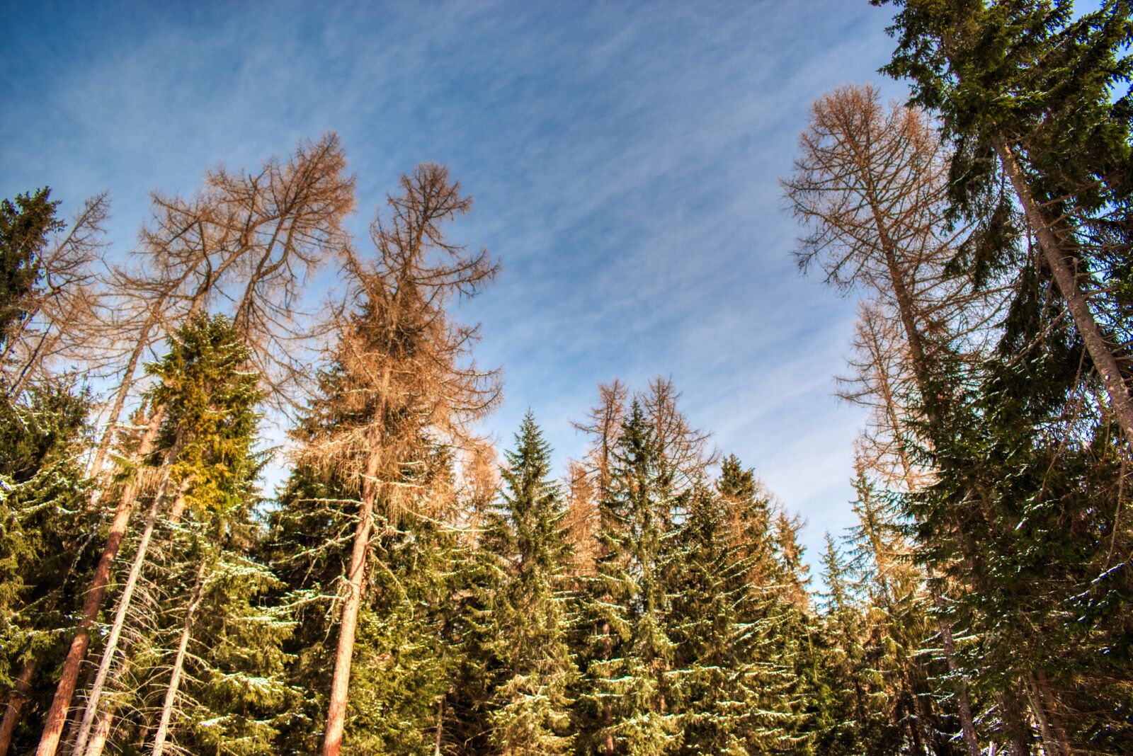 Nikon D5600 sample photo. High tatras, mountains, slovakia photography