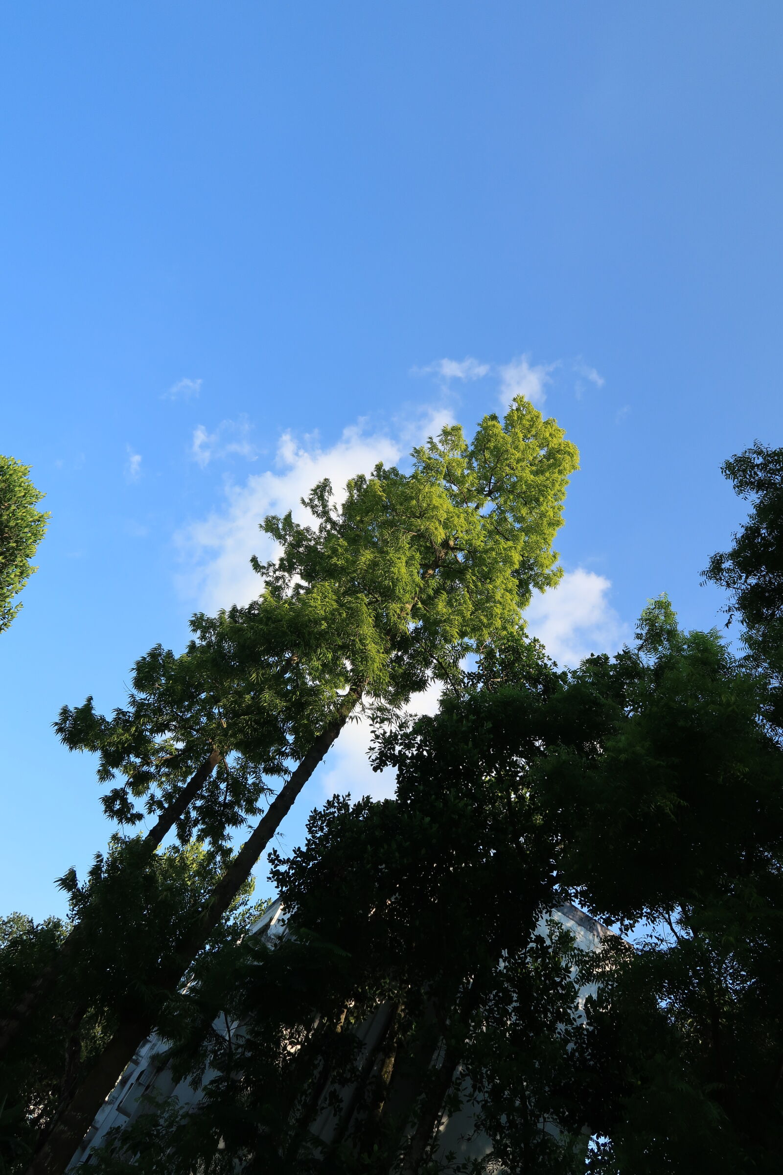 Canon PowerShot G7 X Mark II sample photo