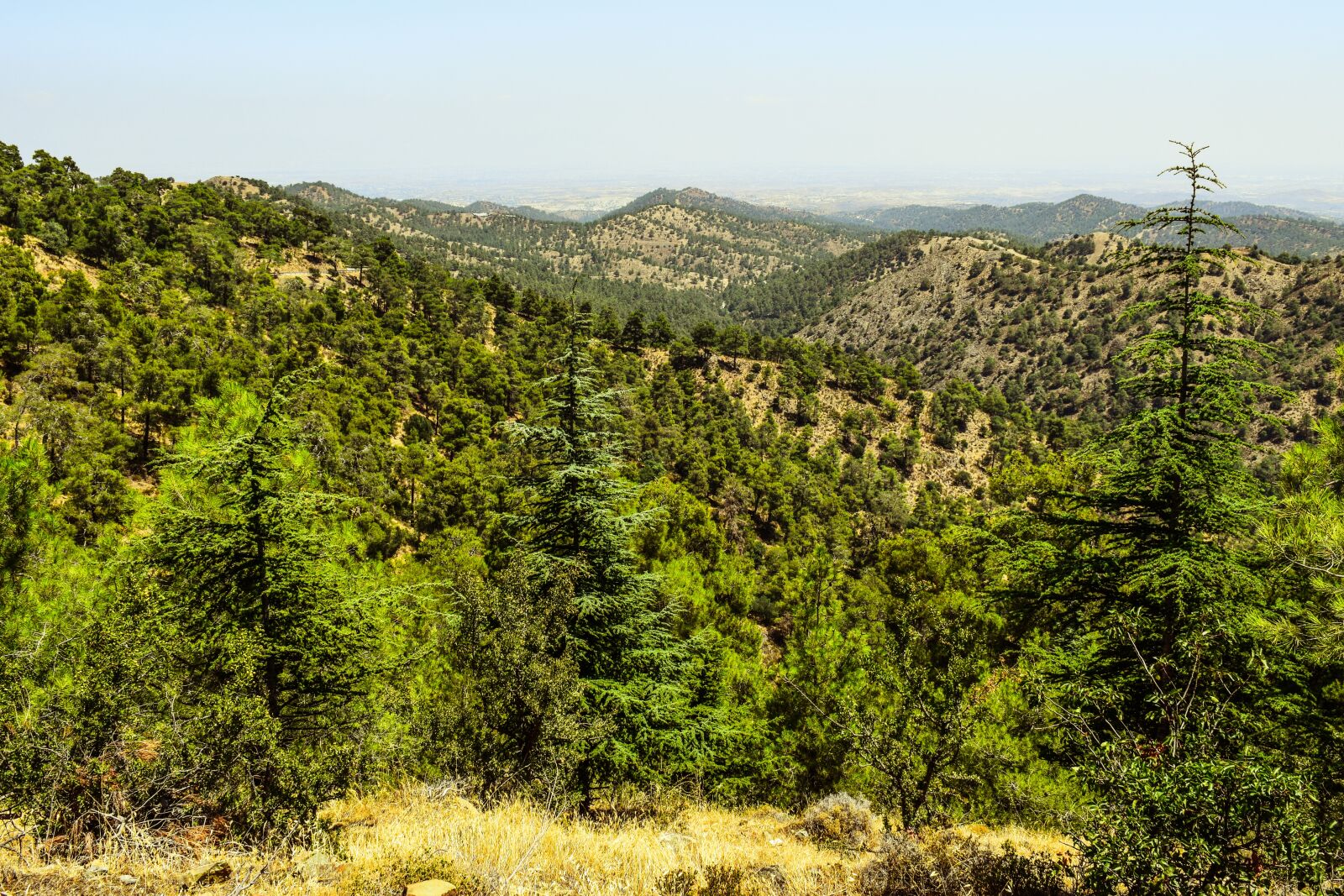 Nikon D3300 sample photo. Mountain, peaks, forest photography