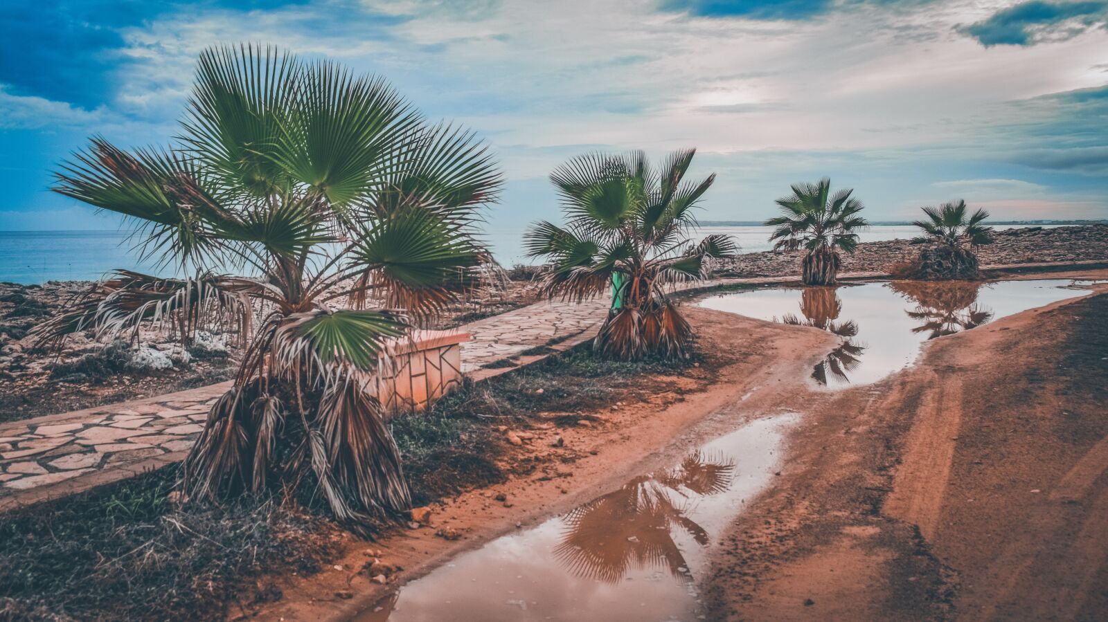 Nikon D3300 sample photo. Palm trees, sky, clouds photography