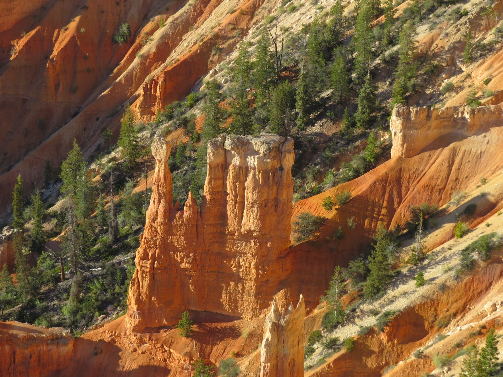 Canon PowerShot SX50 HS sample photo. Bryce canyon, hiking, desert photography
