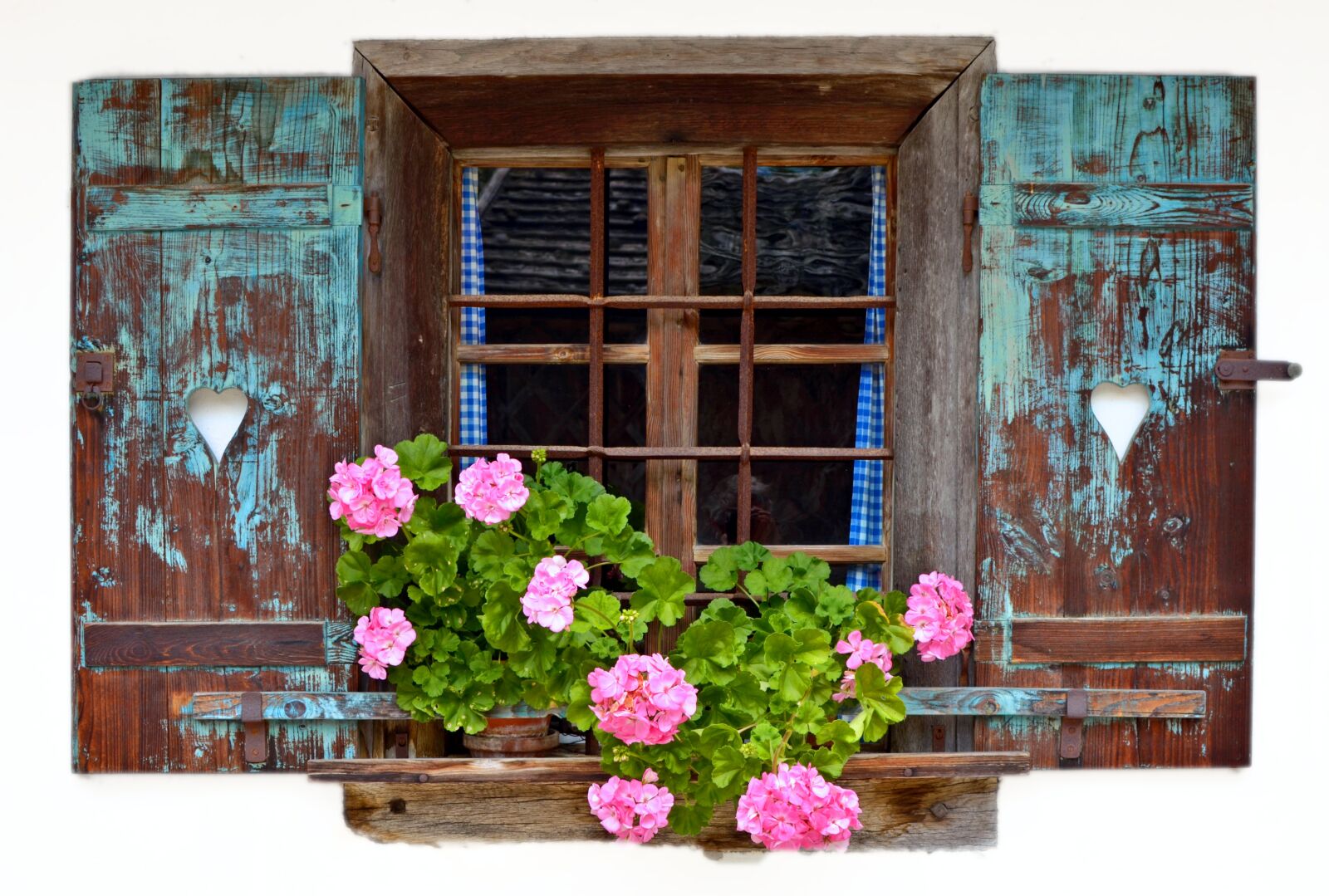 Nikon D7000 sample photo. Window, flowers, shutters photography