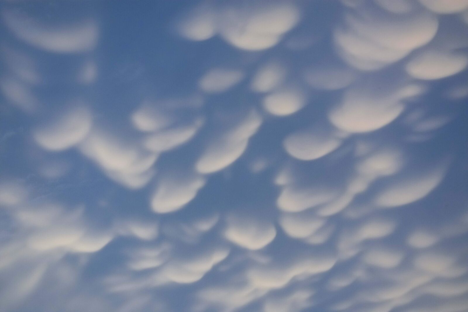 Nikon D3400 sample photo. Mammatus clouds, mammatus, cloud photography