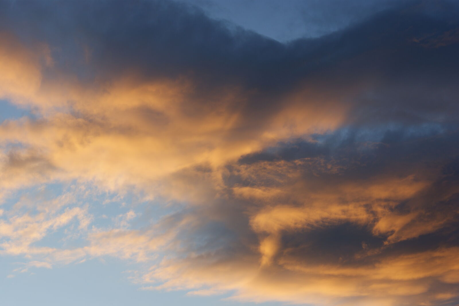 Sony Alpha DSLR-A390 sample photo
