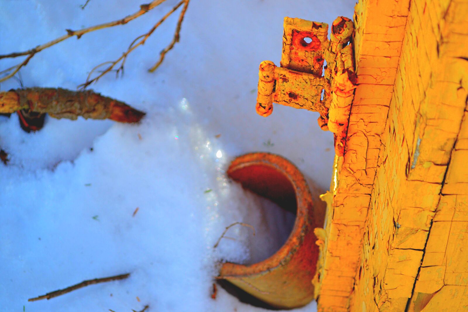 Nikon D3100 sample photo