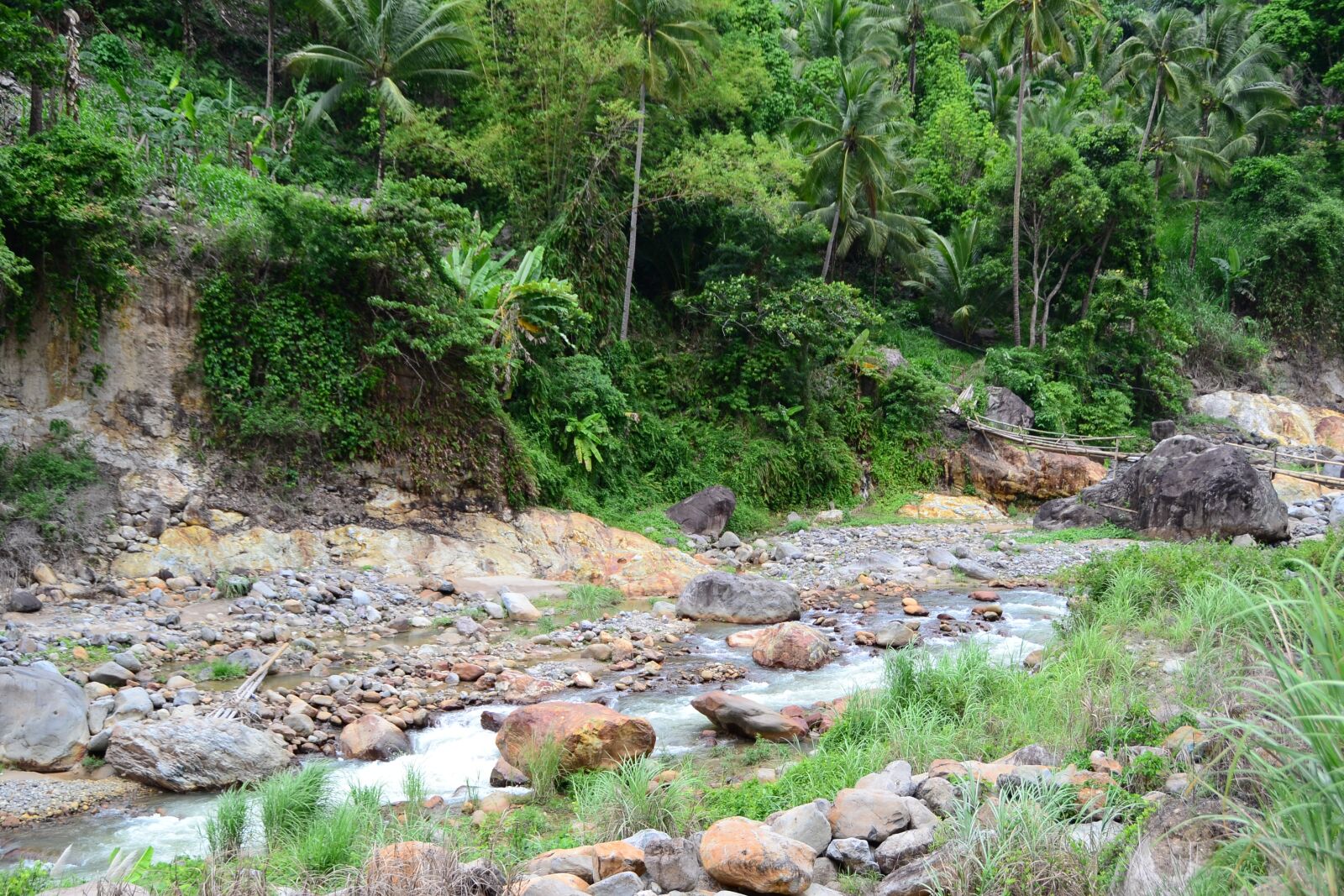 Nikon D3100 sample photo. River, drought, low photography