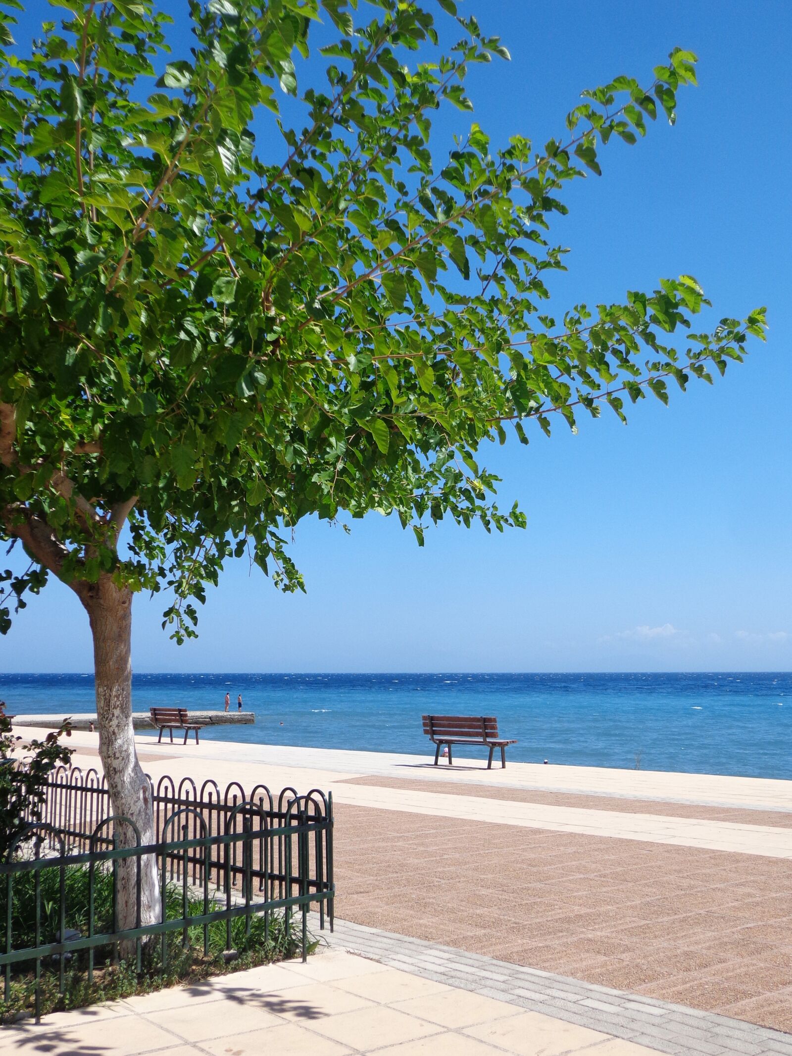 Sony DSC-W650 sample photo. Sea, tree, bench photography