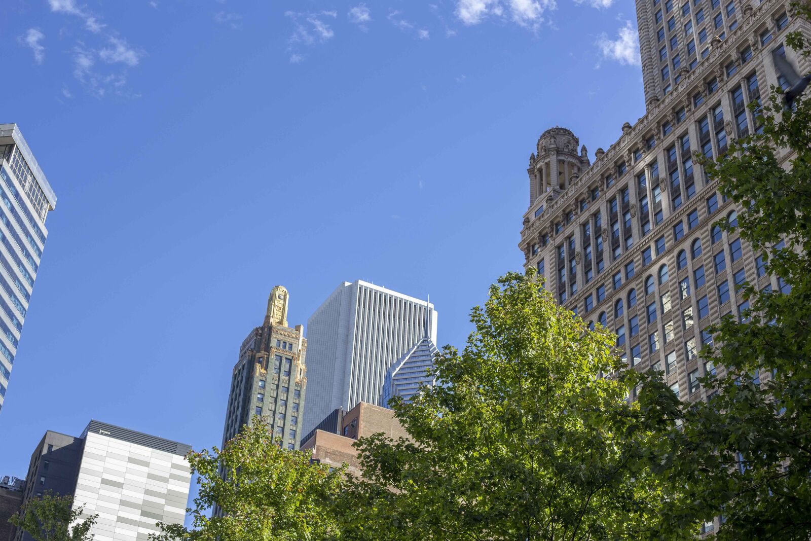 Canon EOS 6D + Canon EF 50mm F1.8 STM sample photo. Chicago, sky, blue photography