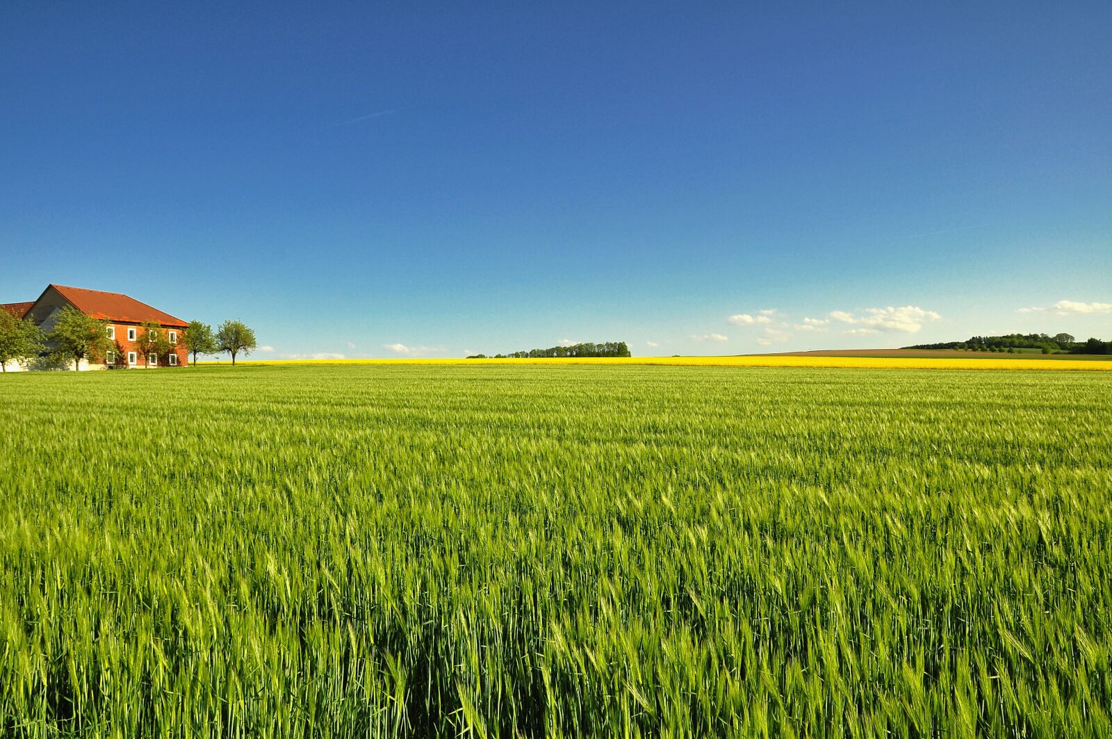 Nikon D90 sample photo. Field, agriculture, farm photography