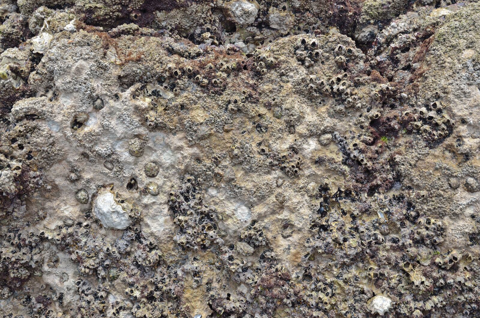 Nikon D7000 sample photo. Surface, backgrounds, stone photography