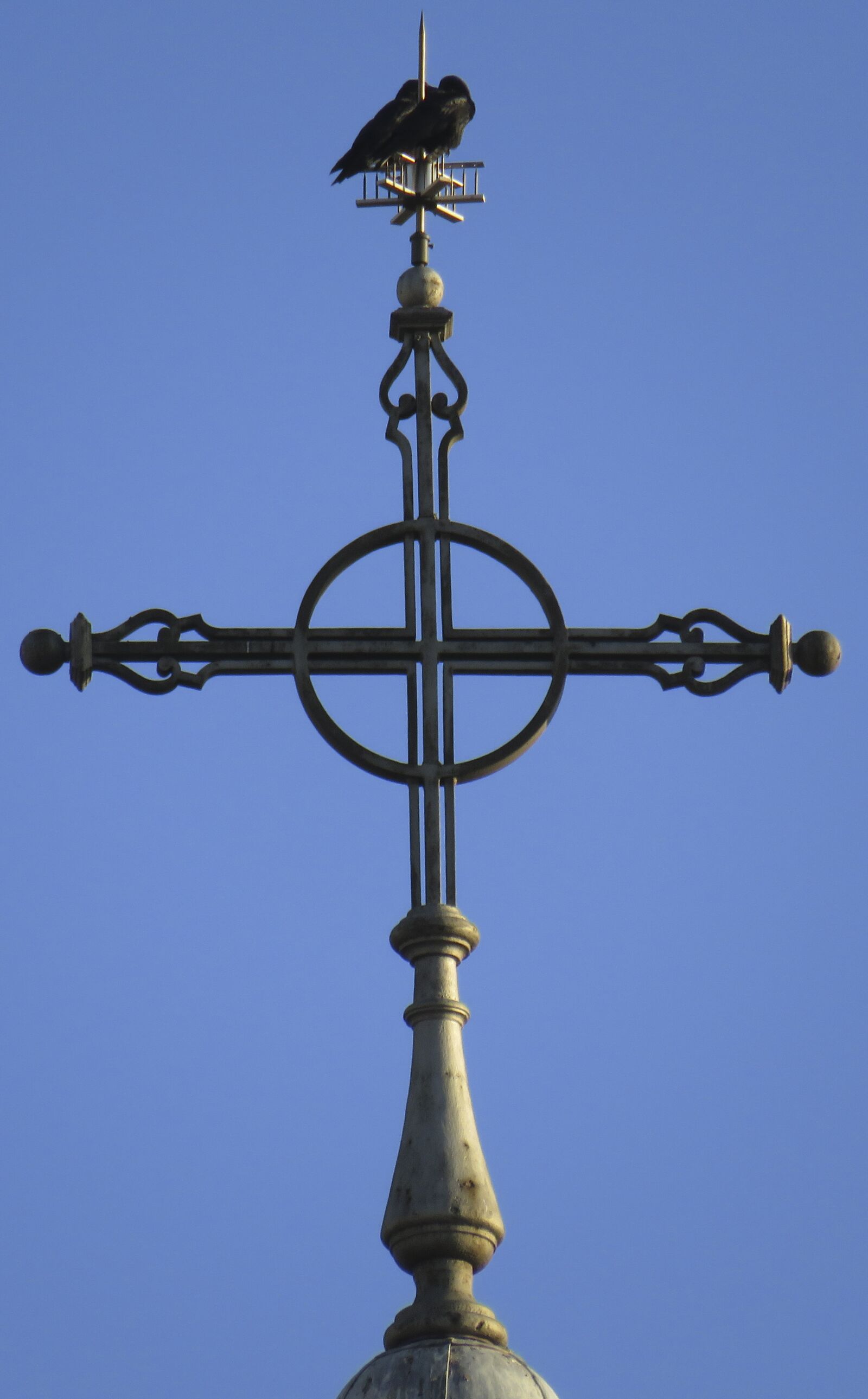 Canon PowerShot SX540 HS sample photo. Bird, lightning rod, cruz photography