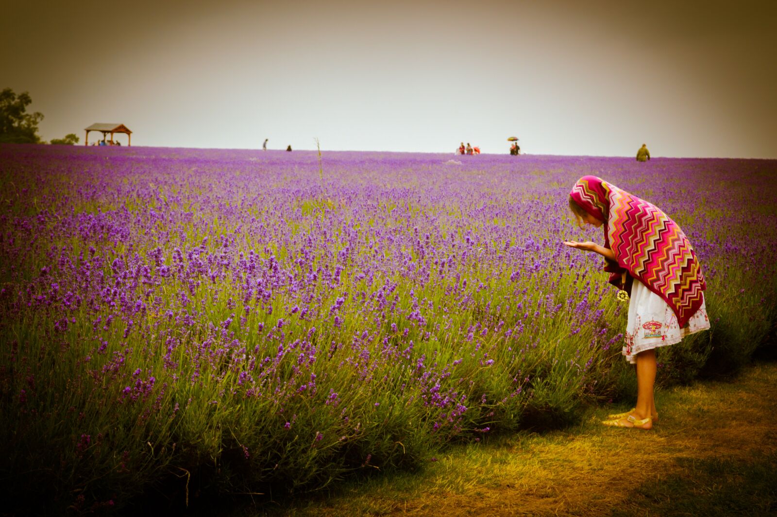 Nikon D3200 sample photo. Woman, flowers, field photography