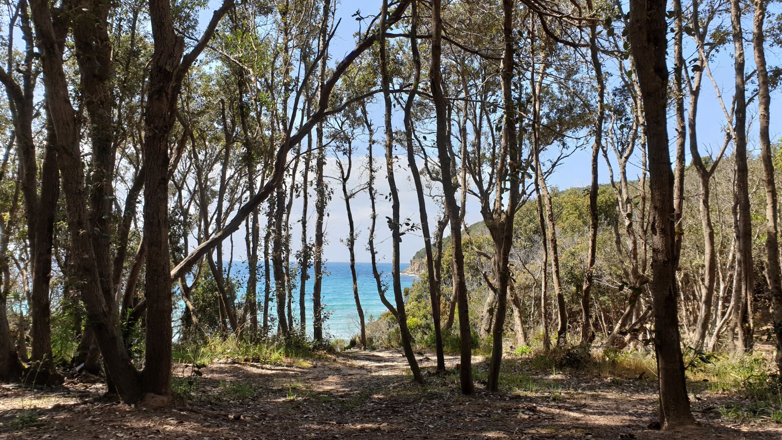 Samsung Galaxy S9+ sample photo. Cala violina, maremma, tuscany photography