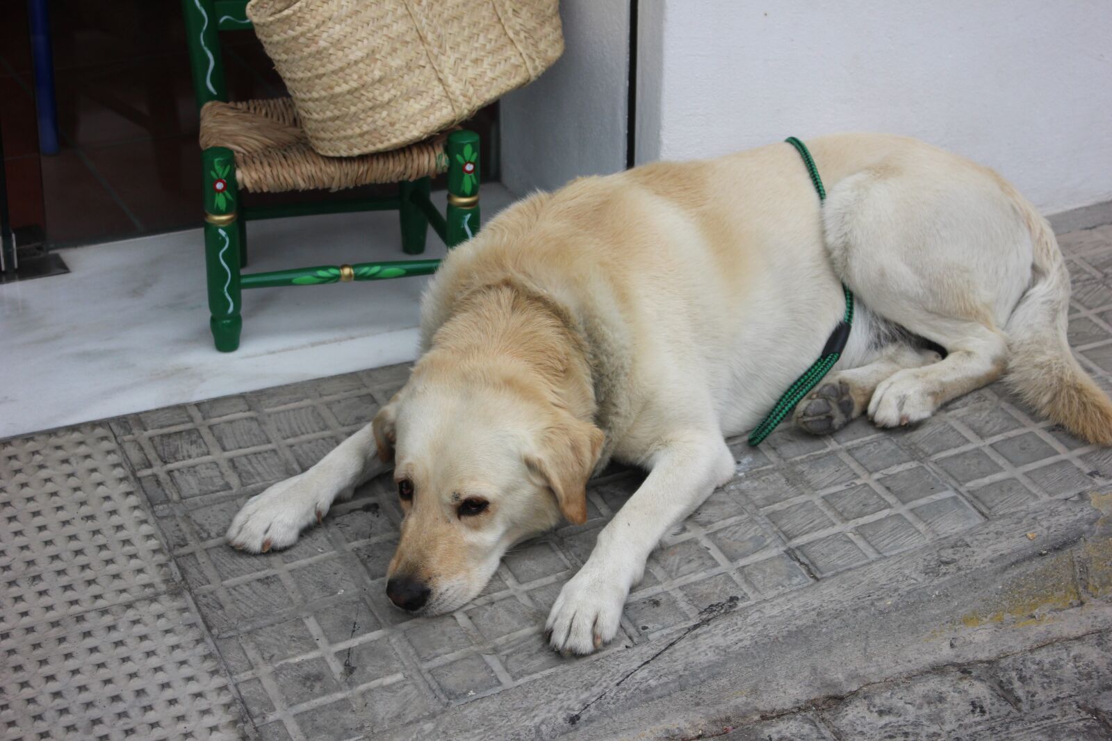 Canon EOS 600D (Rebel EOS T3i / EOS Kiss X5) + Canon EF-S 18-55mm F3.5-5.6 IS STM sample photo. Spain, travel, viagem photography