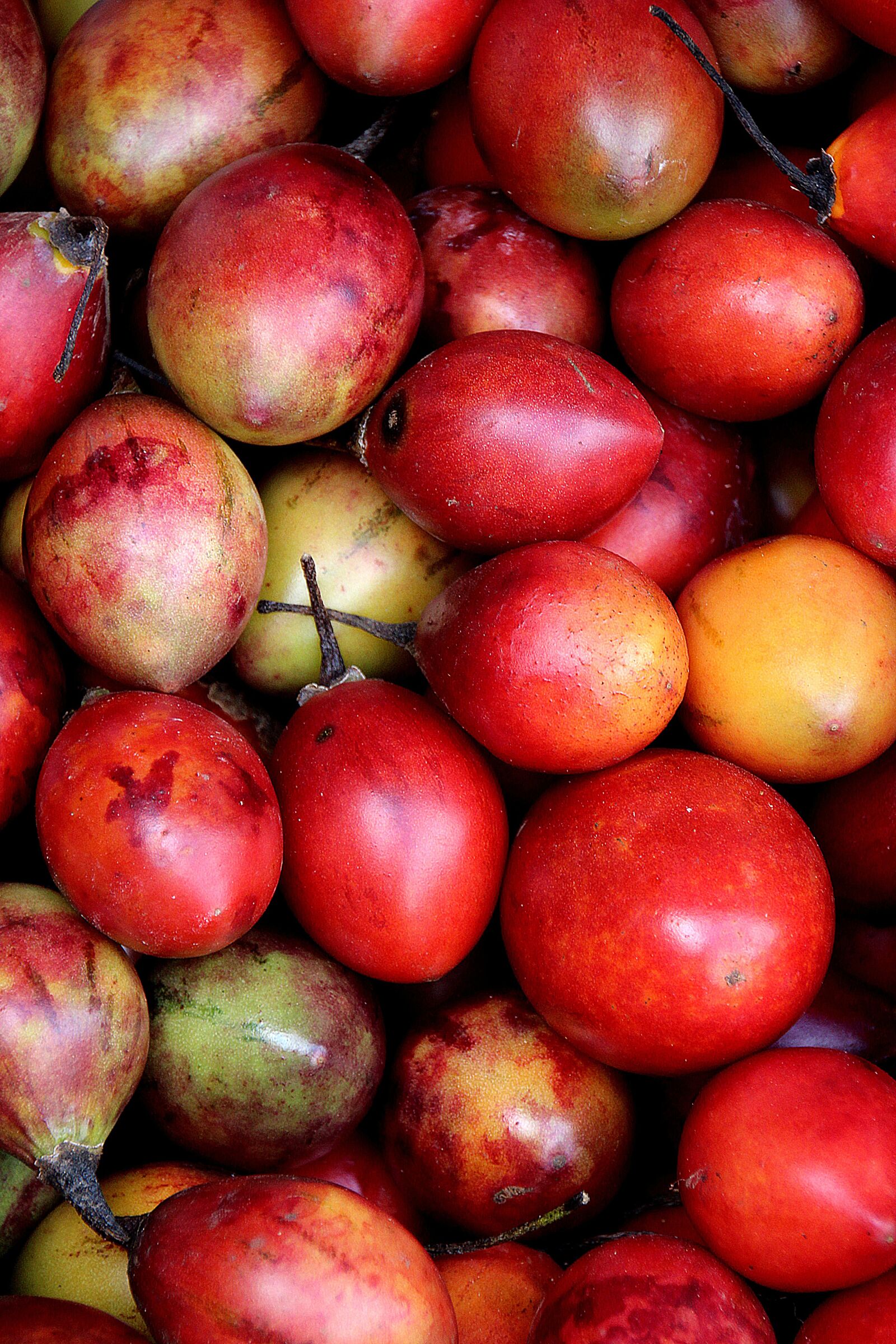 Canon EOS 700D (EOS Rebel T5i / EOS Kiss X7i) sample photo. Bali, red fruit, exotic photography