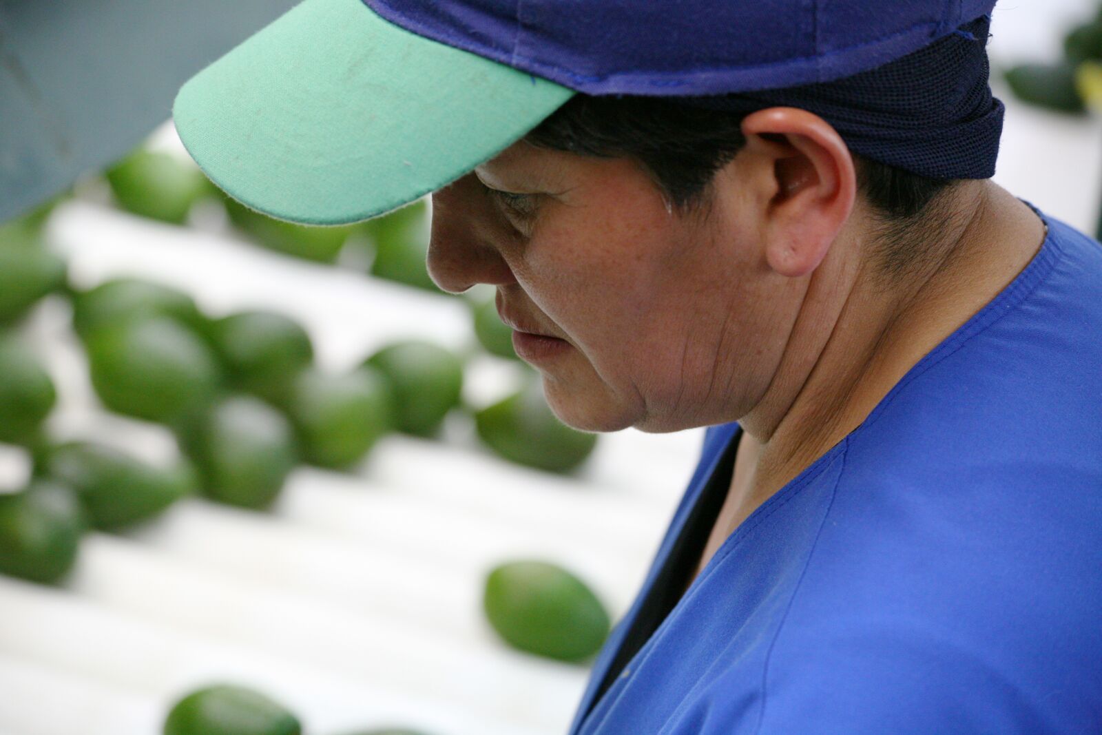 Canon EOS 5D sample photo. Person, packing, worker photography