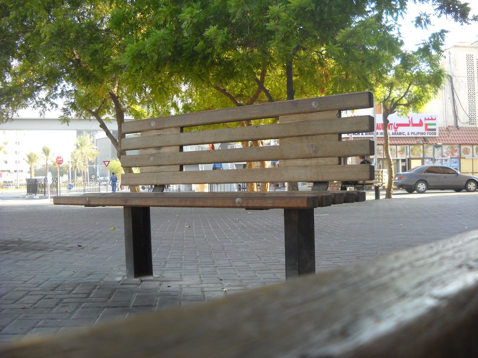 Nikon Coolpix L19 sample photo. Bench, tree, seat photography