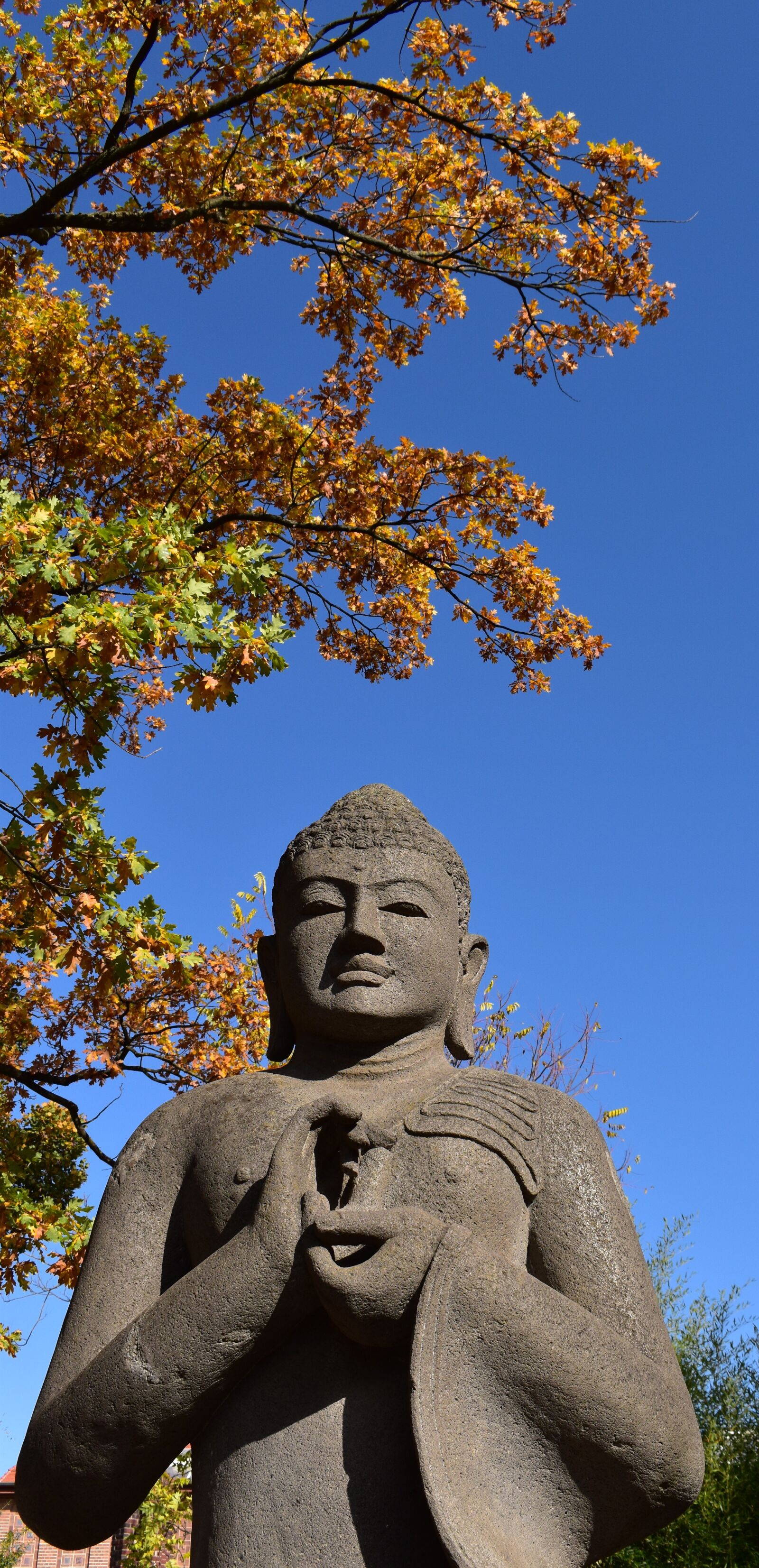Nikon D5600 sample photo. Asia, buddha, relaxation photography