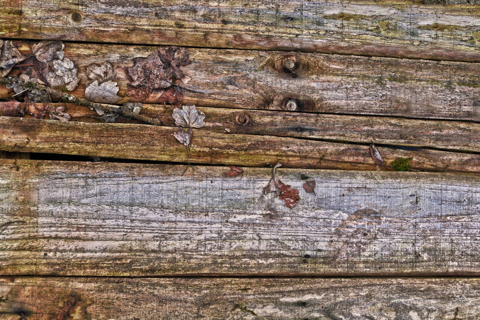 Panasonic Lumix DMC-FZ1000 sample photo. Woods, board, wooden board photography