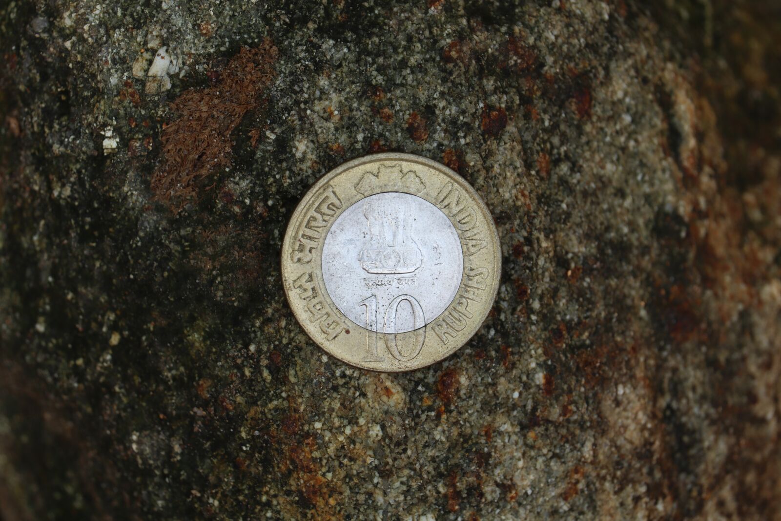 Canon EOS 250D (EOS Rebel SL3 / EOS Kiss X10 / EOS 200D II) sample photo. Coin, design, texture photography