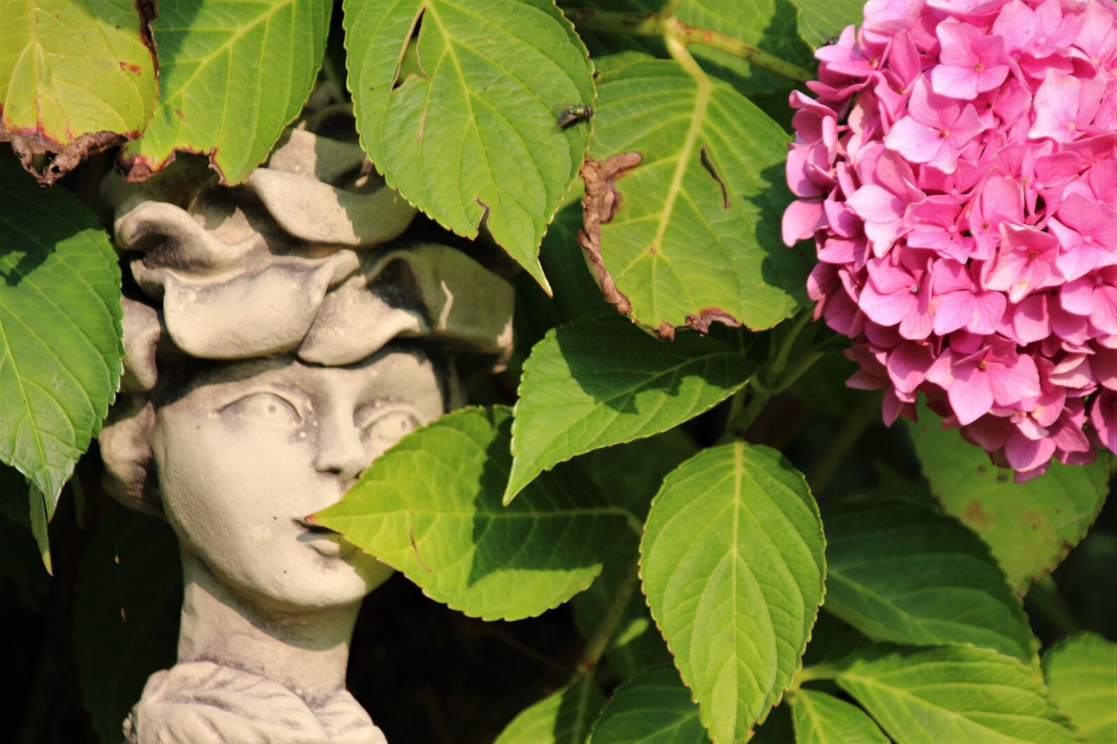 Canon EOS 700D (EOS Rebel T5i / EOS Kiss X7i) sample photo. Nature, figure, woman photography