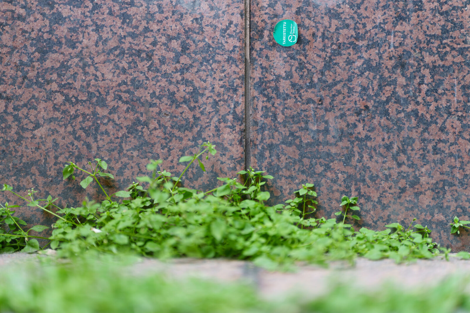 Sigma 28-45mm F1.8 DG DN Art sample photo. Checked wall photography